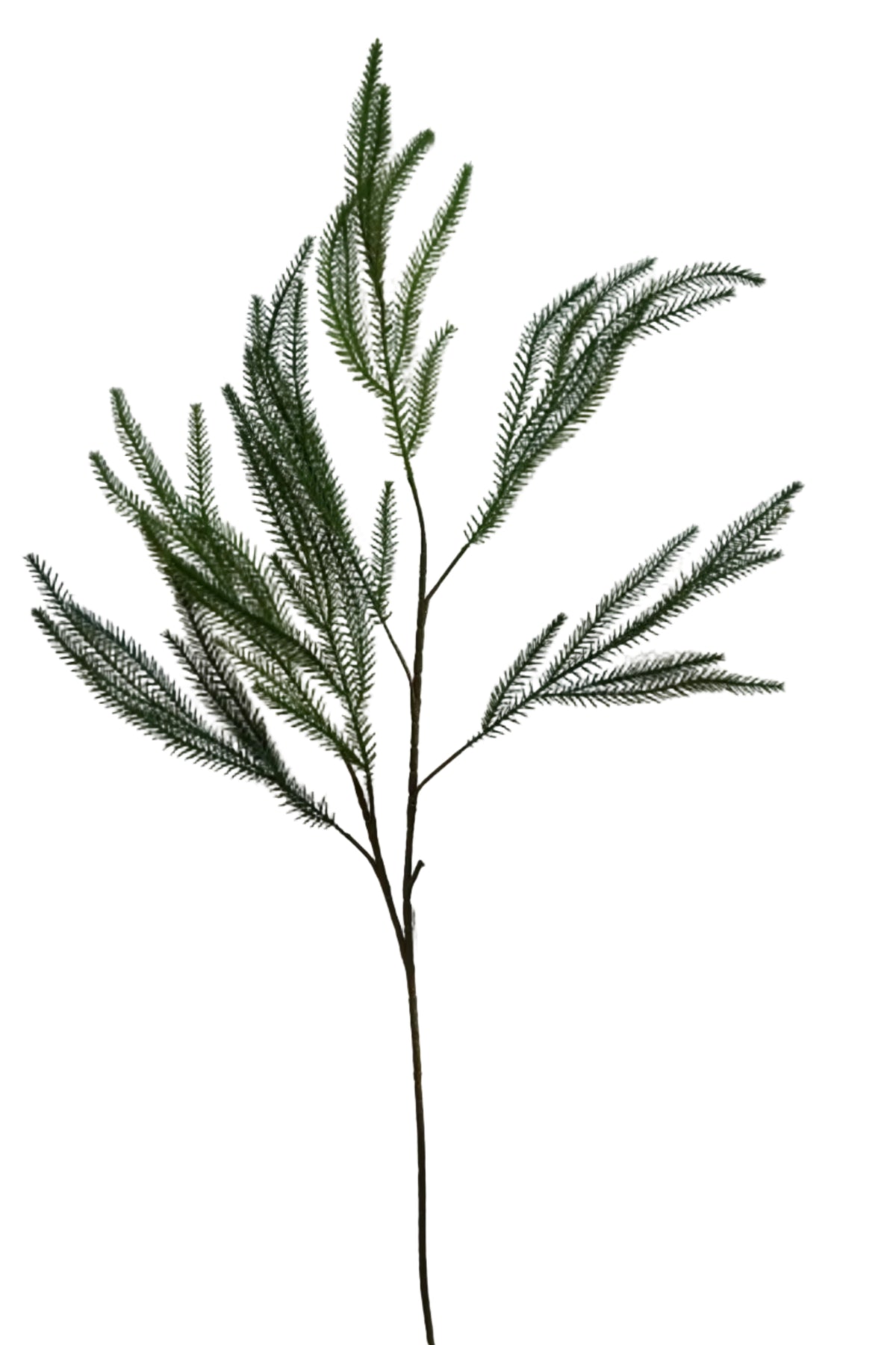 Faux Norfolk Pine spray stem
