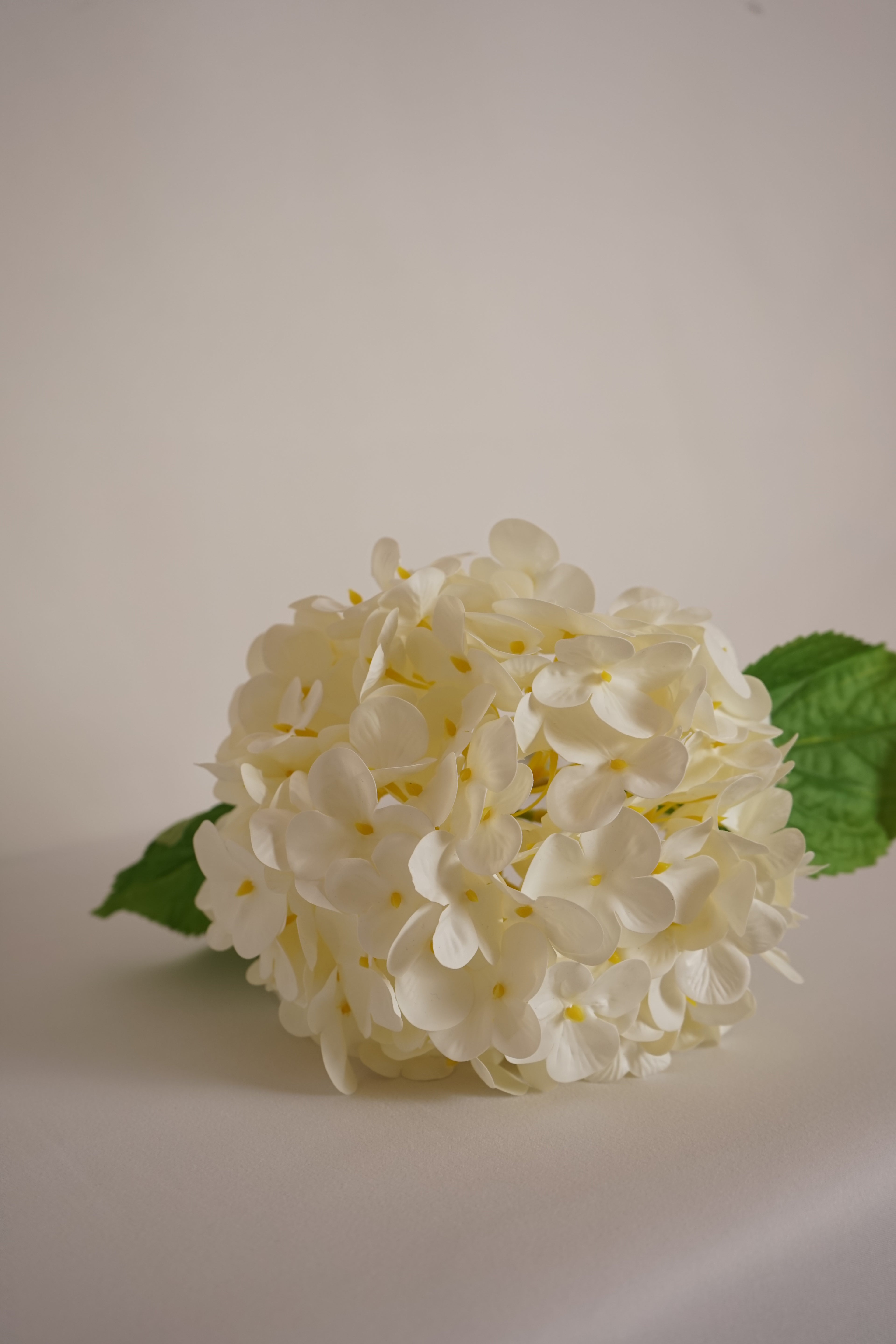 Faux Real Touch Cream Hydrangea
