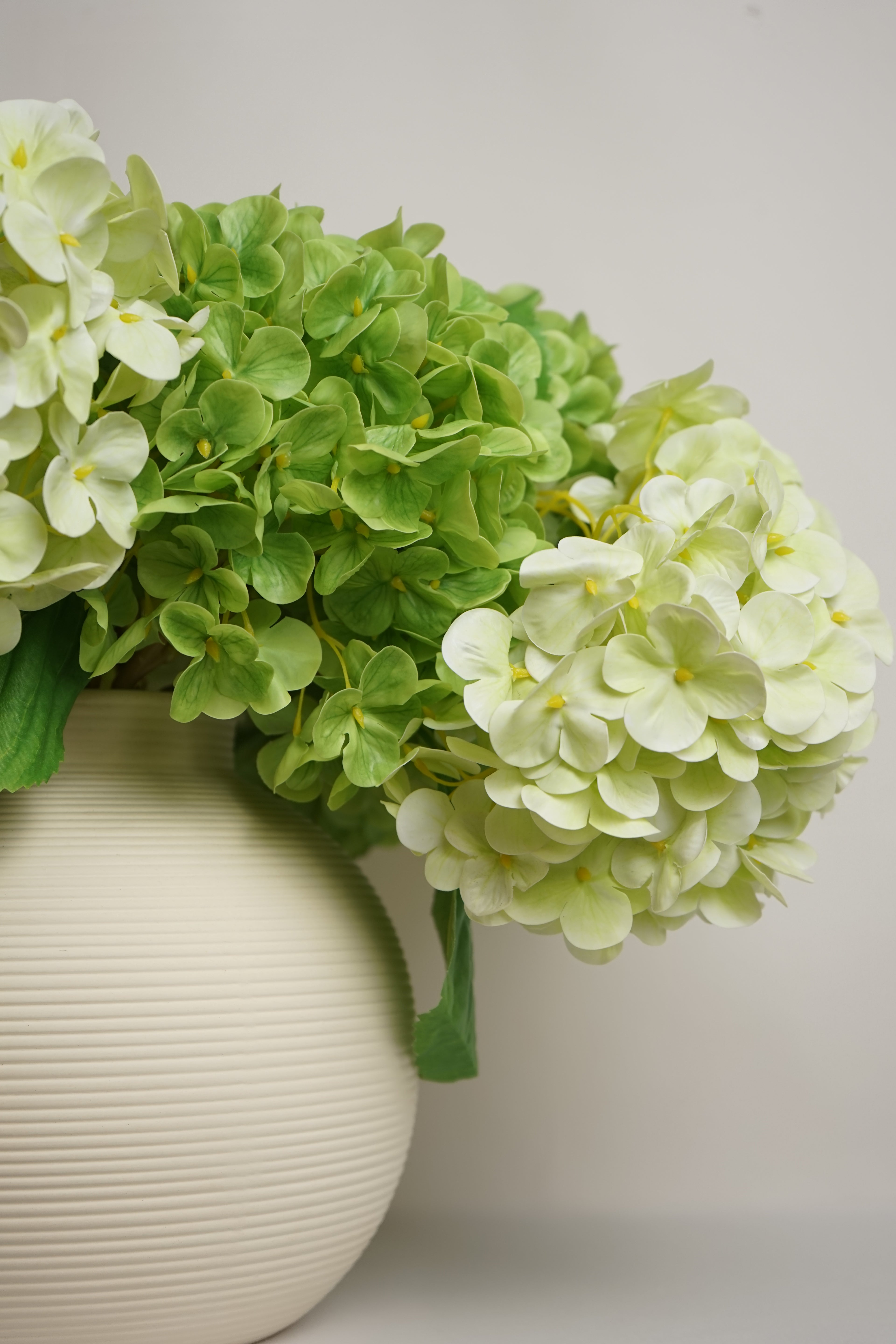 White Terracotta Vase