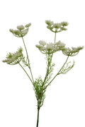 Faux Ammi Visnaga Stem