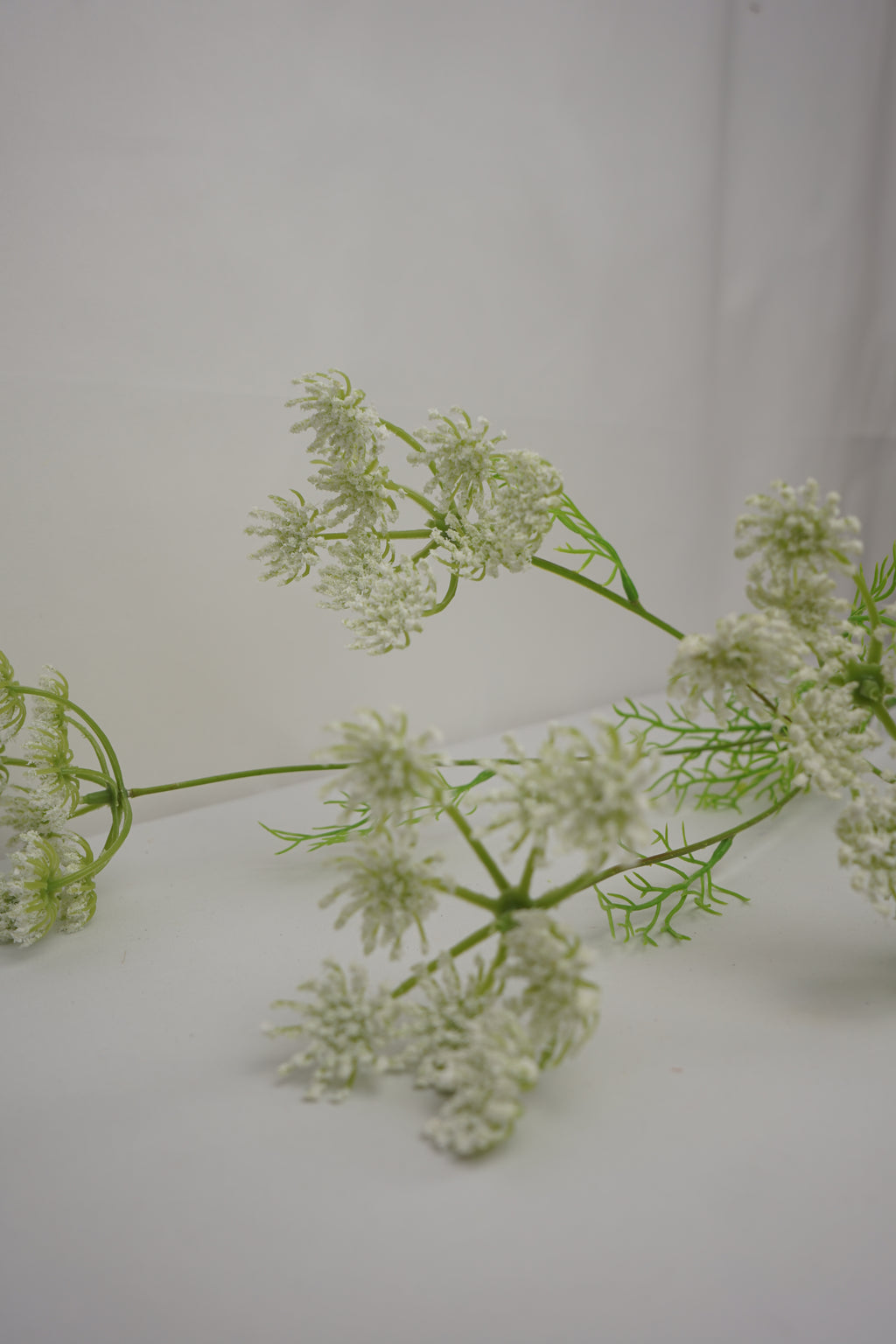 Faux Ammi Visnaga Stem