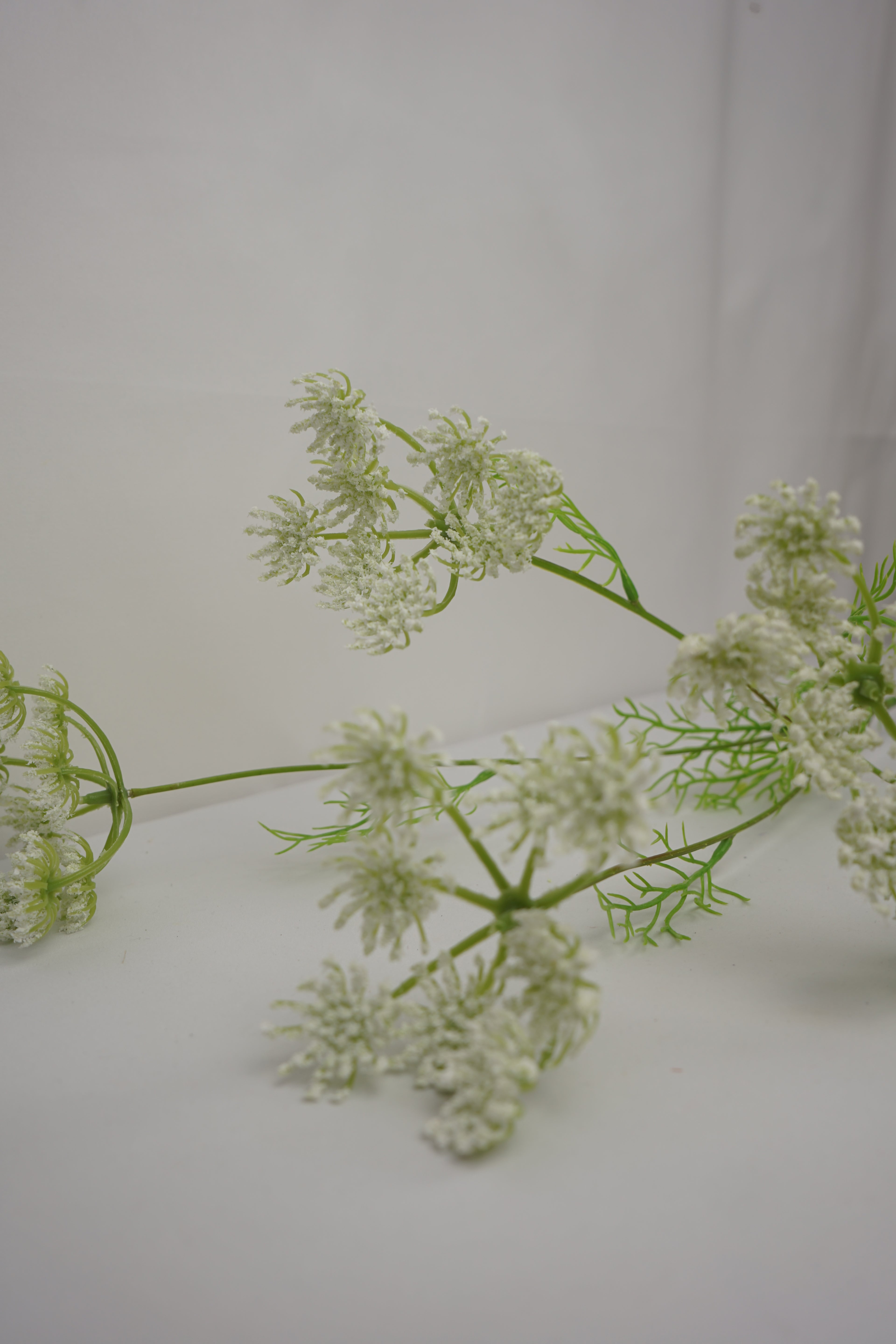 Faux Ammi Visnaga Stem