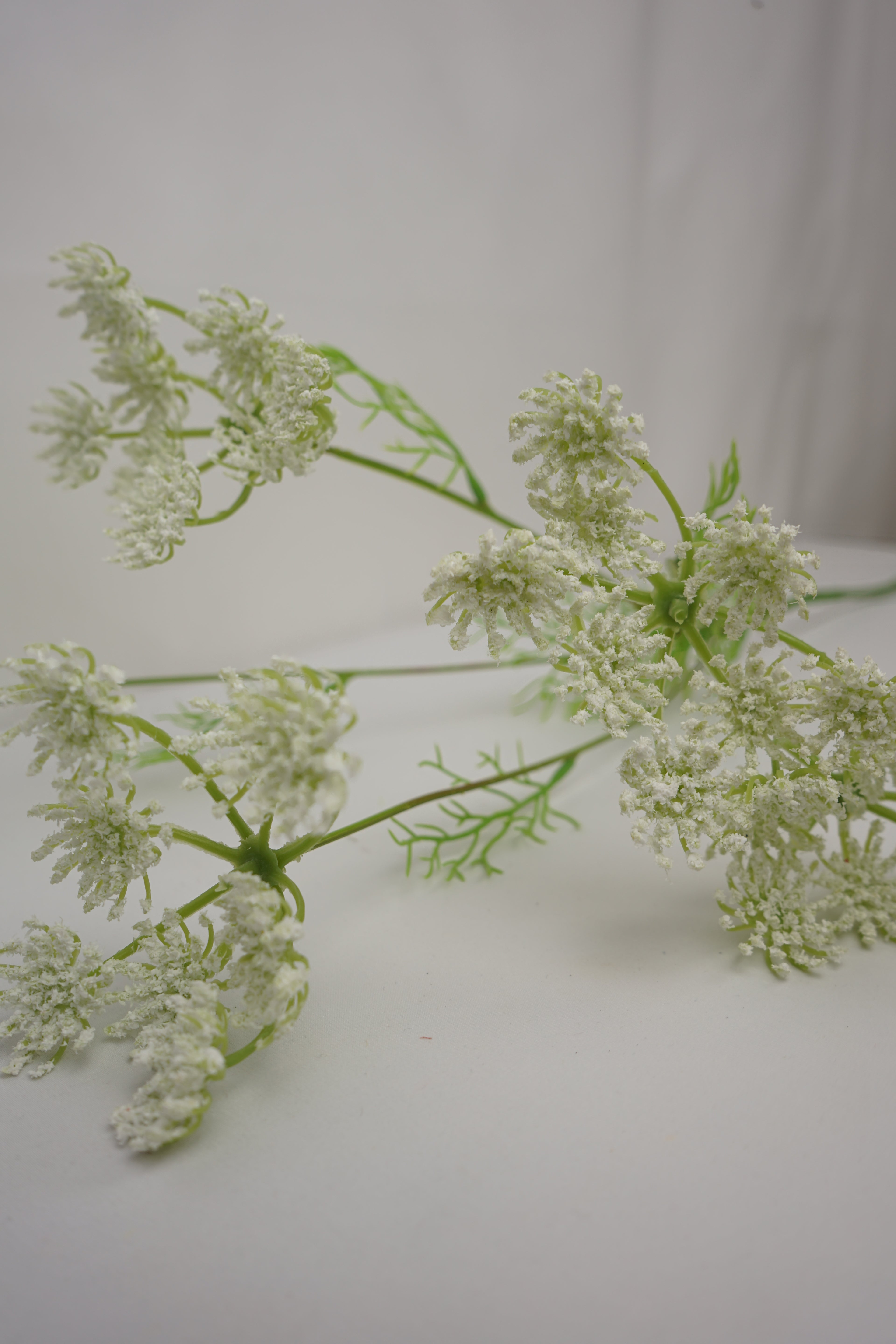 Faux Ammi Visnaga Stem