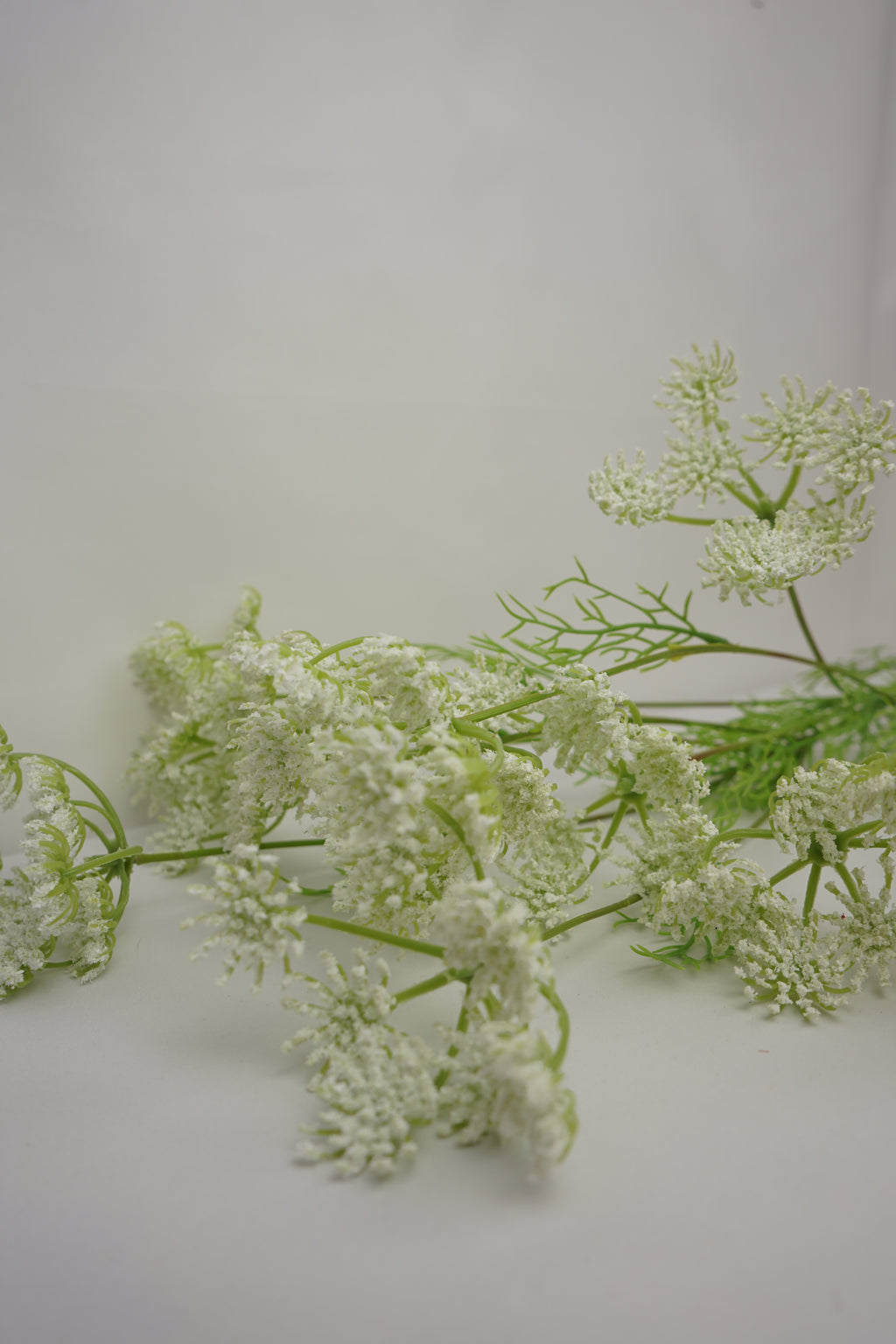 Faux Ammi Visnaga Stem