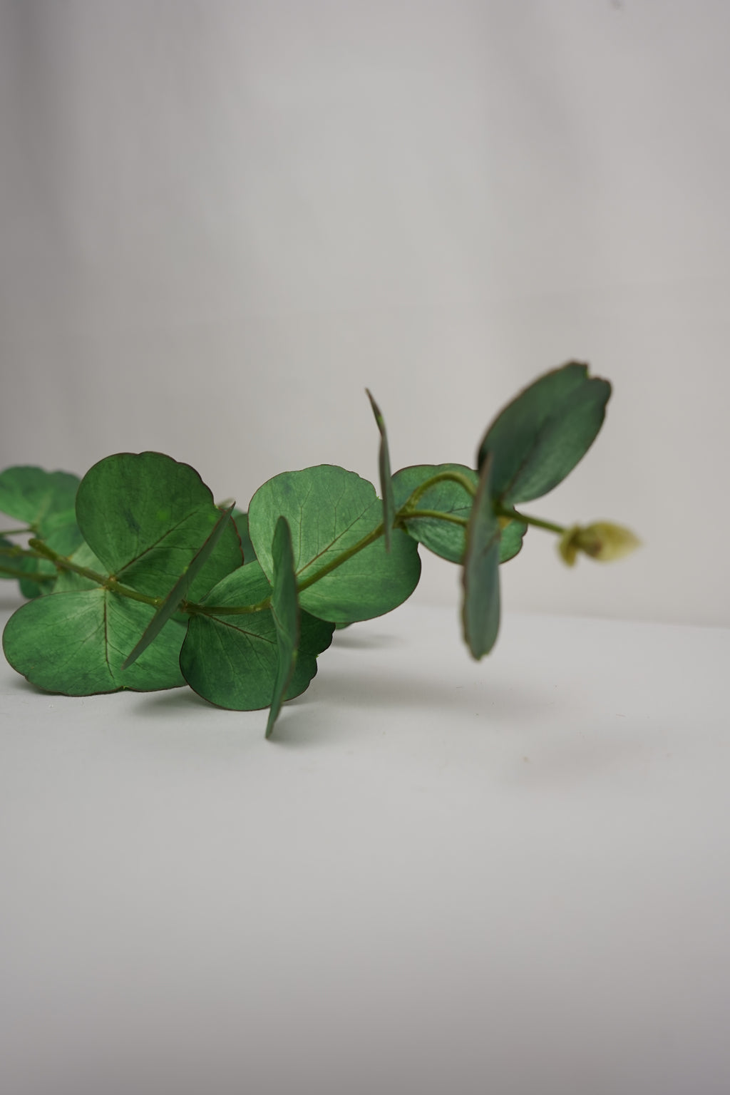 Faux Real Touch Eucalyptus Stem