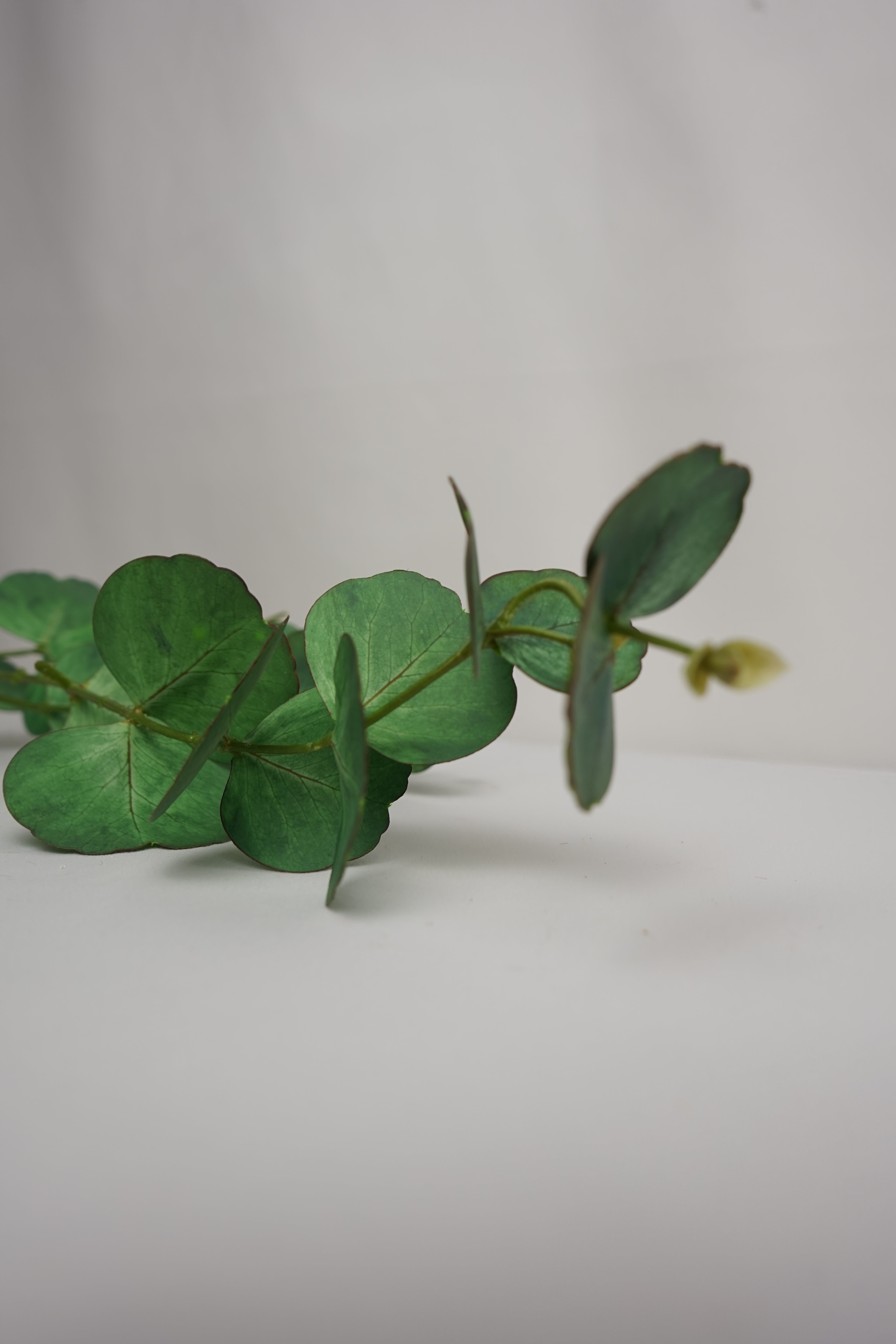 Faux Real Touch Eucalyptus Stem