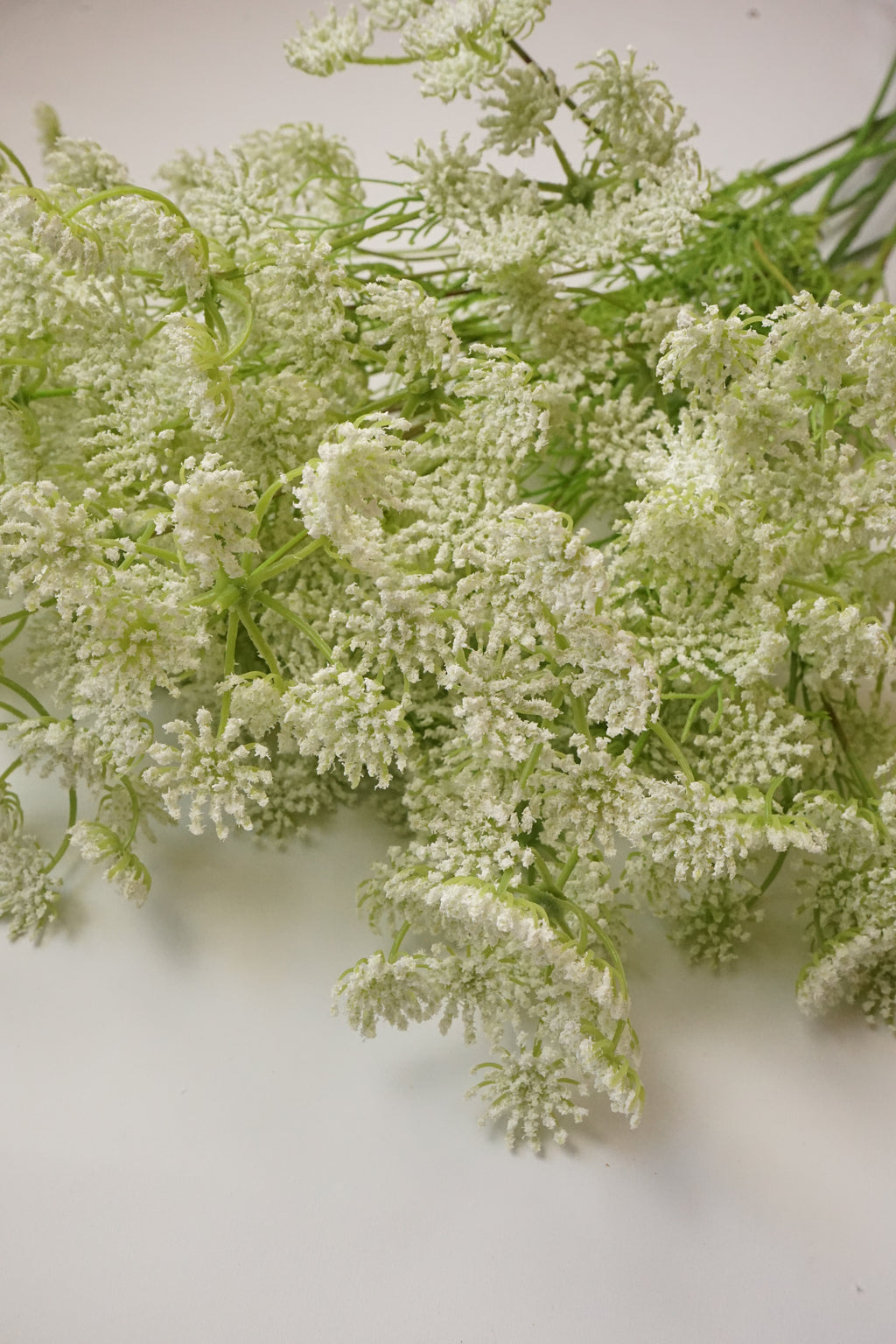 Faux Ammi Visnaga Stem