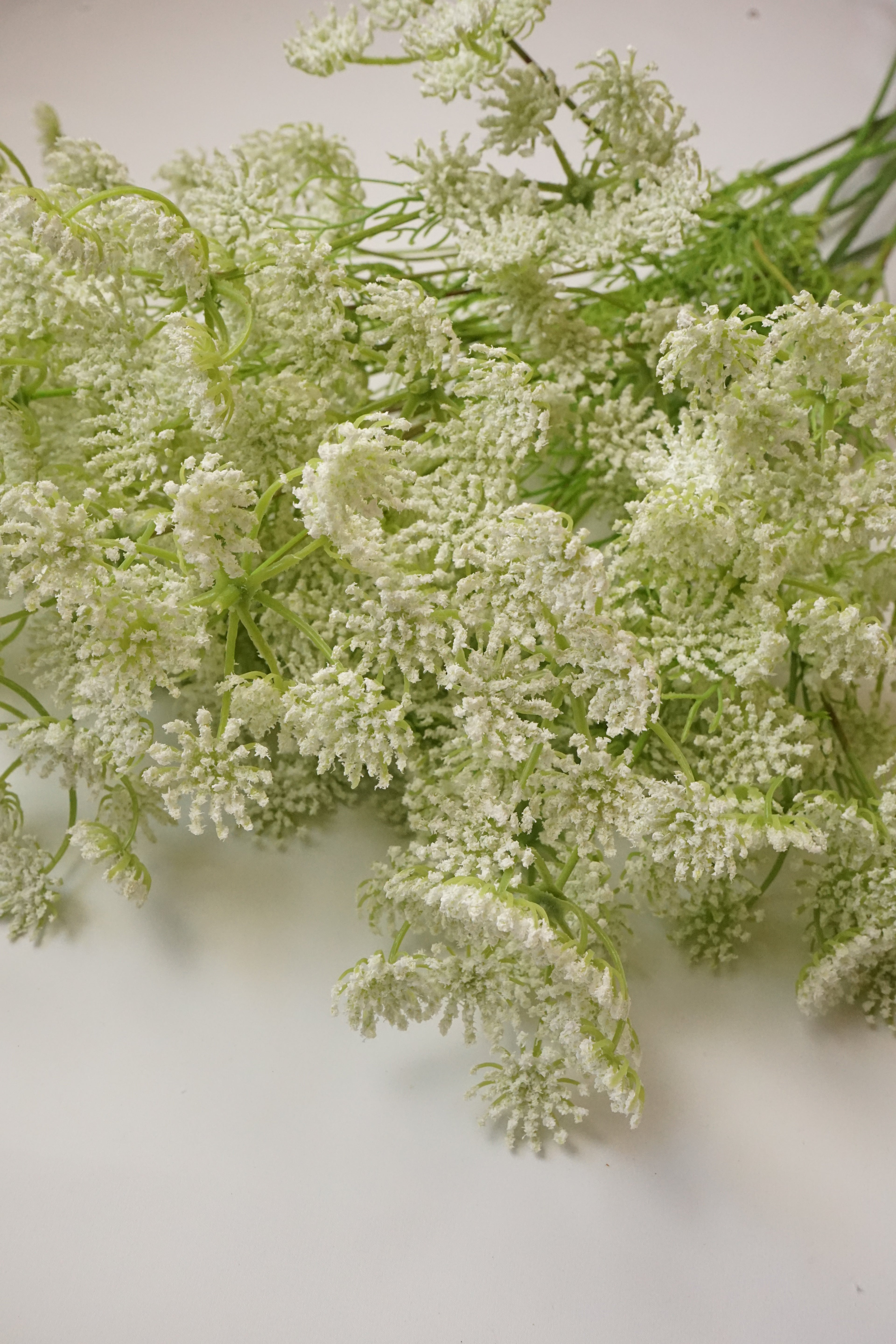 Faux Ammi Visnaga Stem