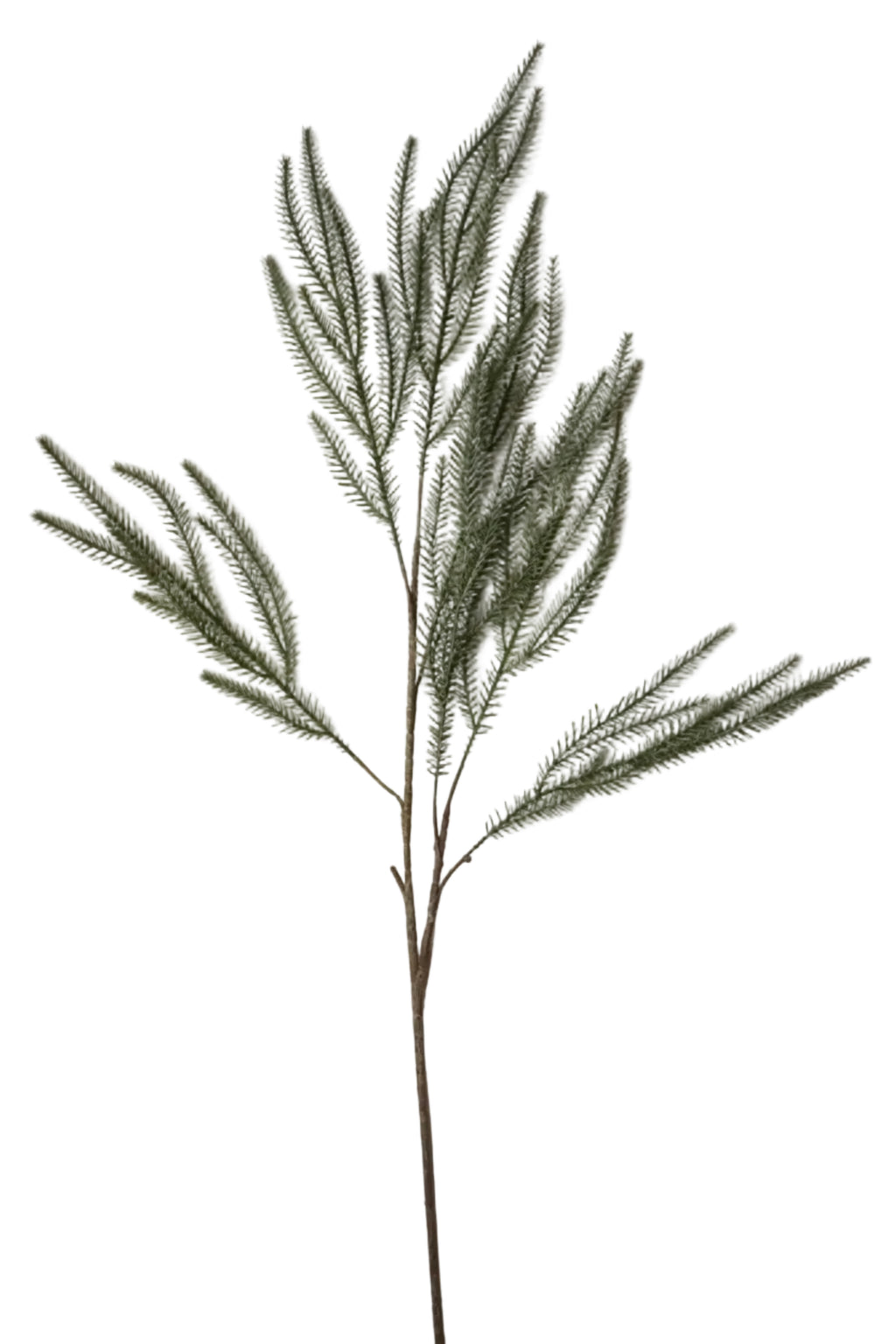 Faux Norfolk Pine spray stem