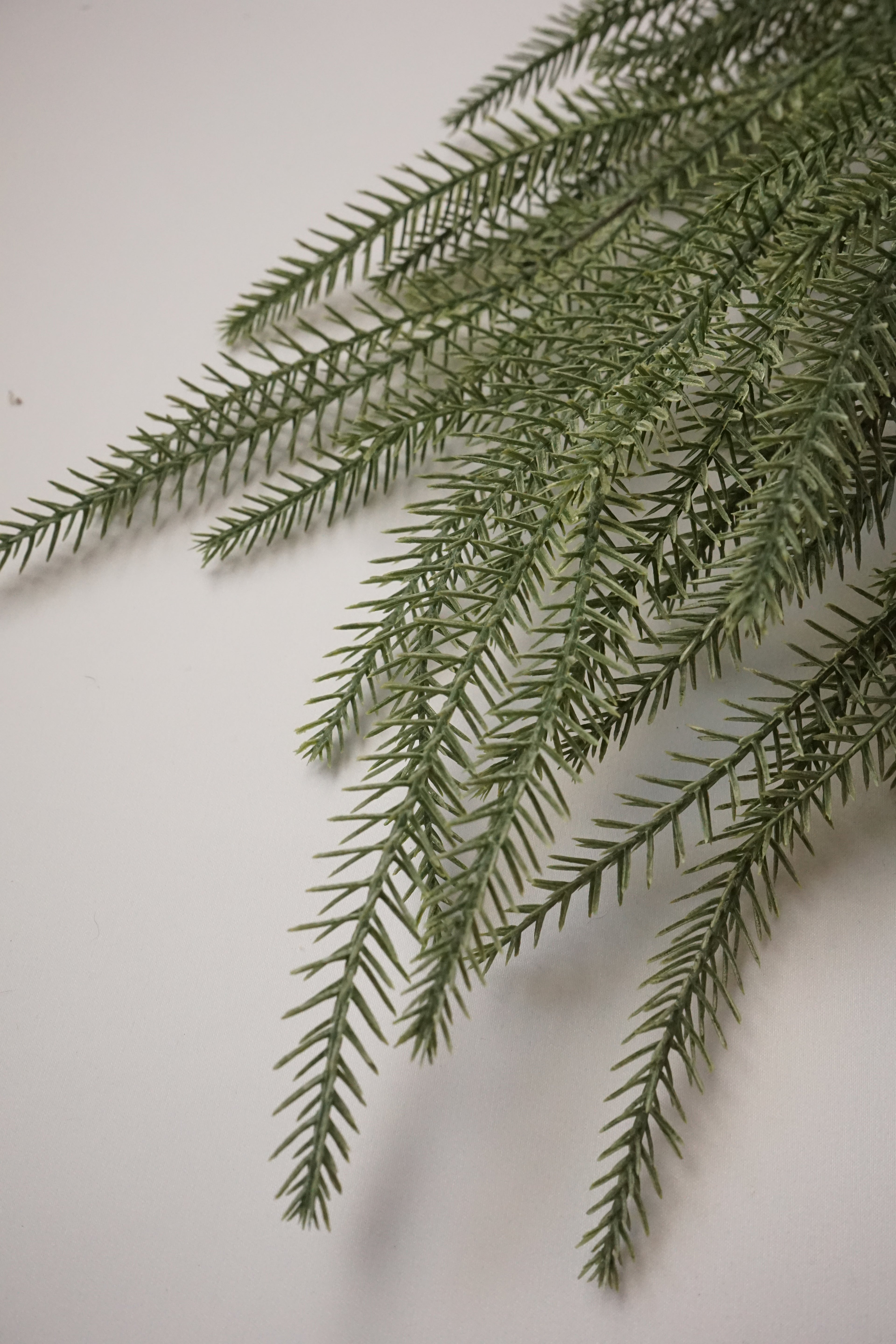 Faux Norfolk Pine spray stem