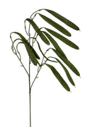 Faux Green Pods