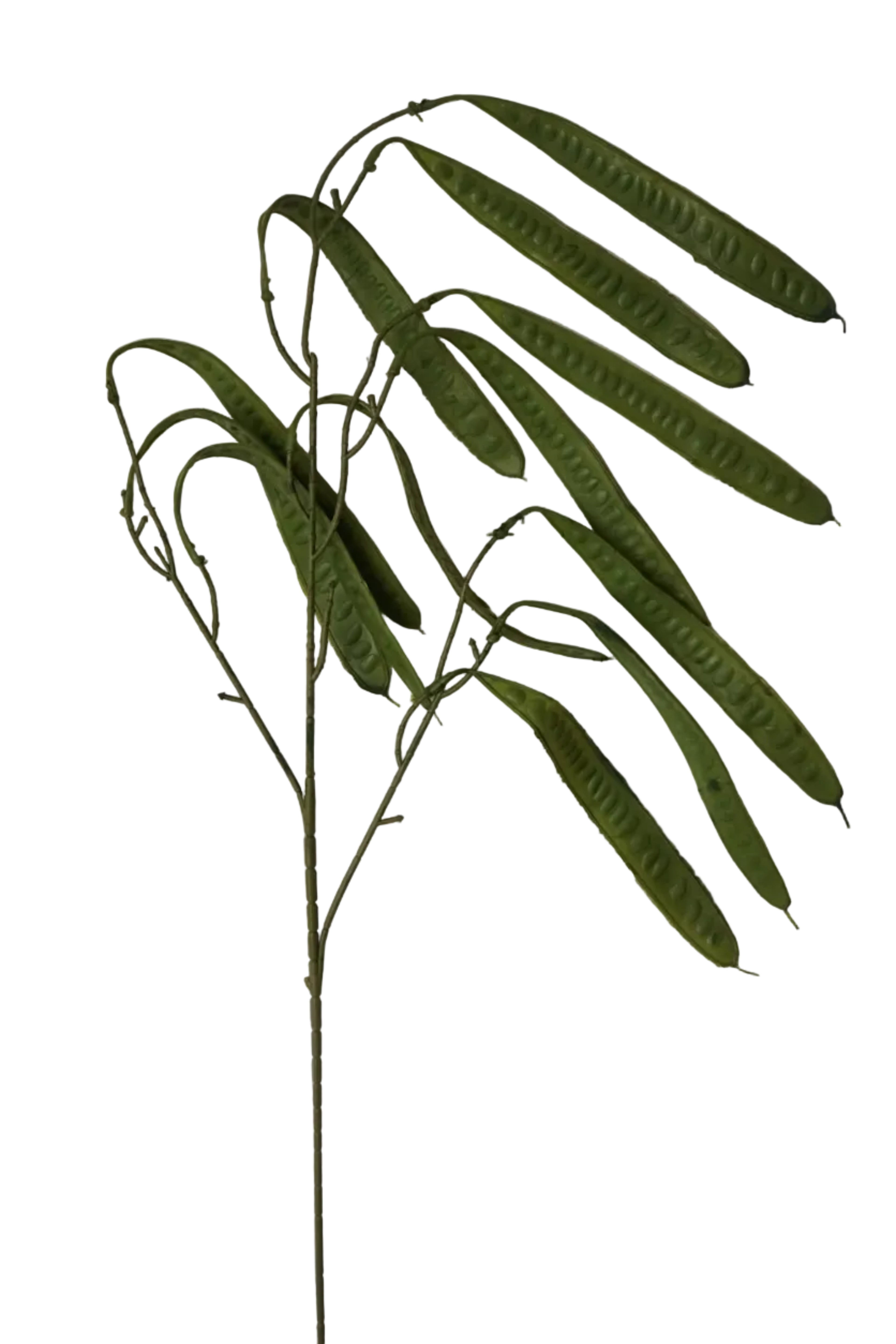 Faux Green Pods