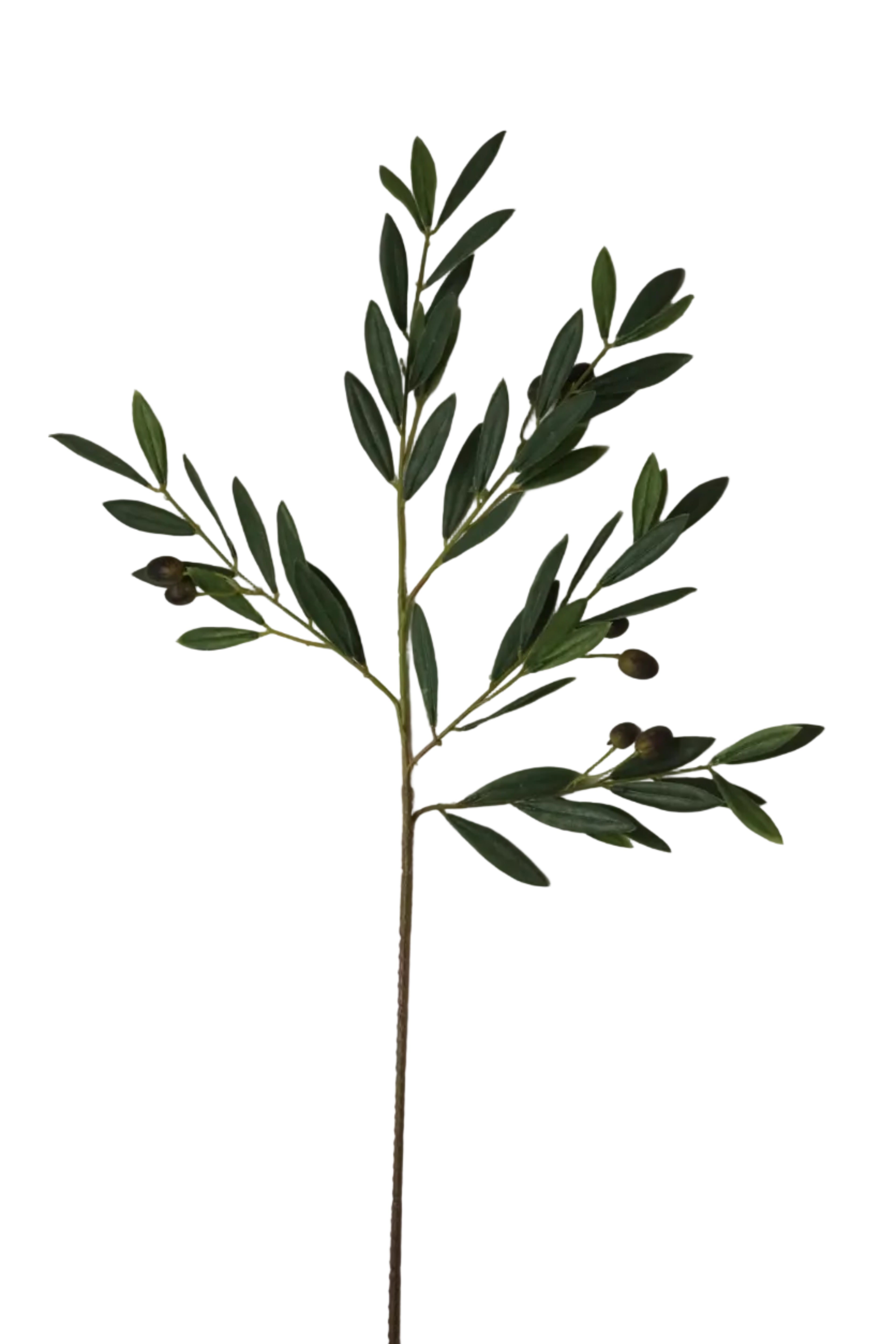 Faux Olive Stem