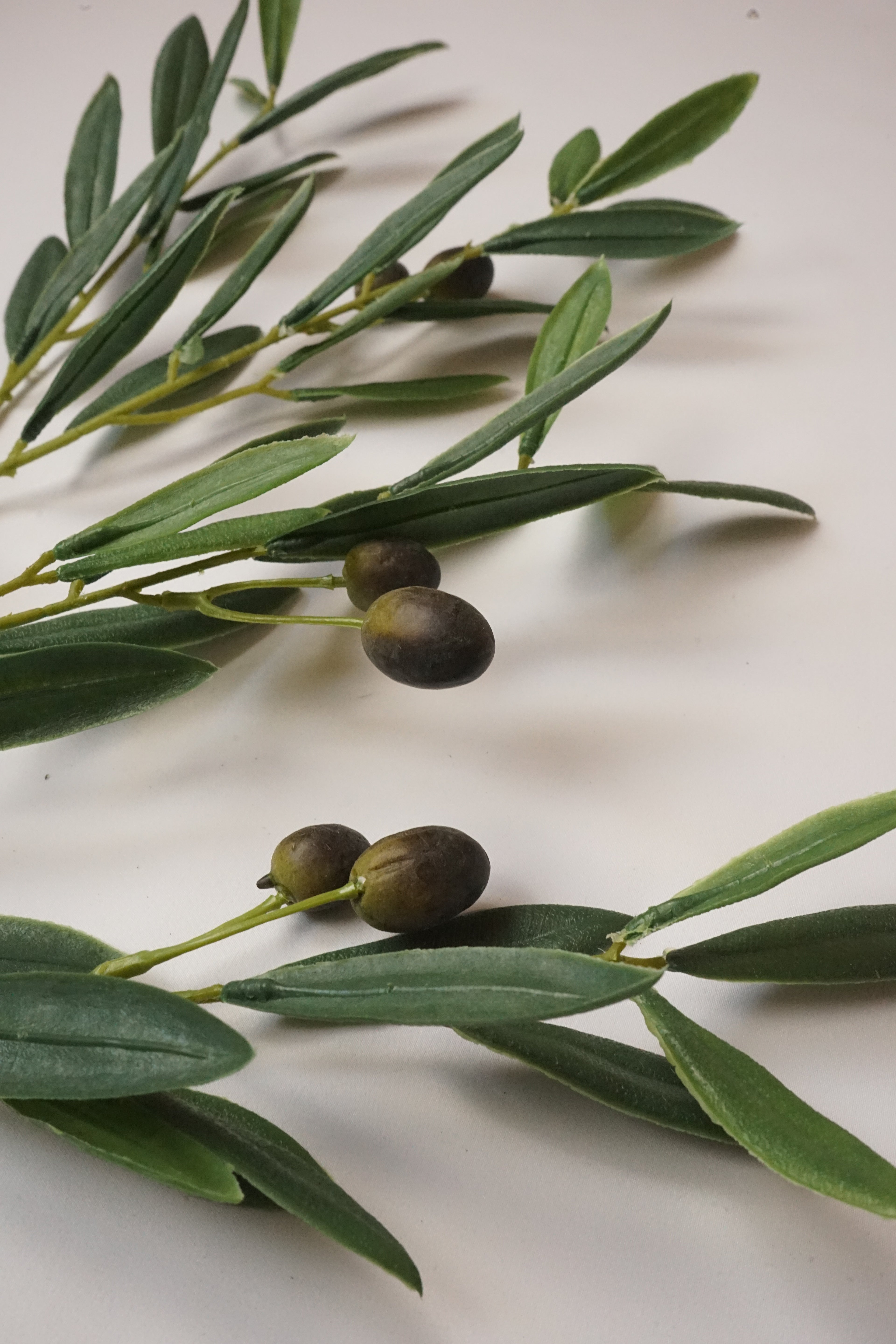 Faux Olive Stem