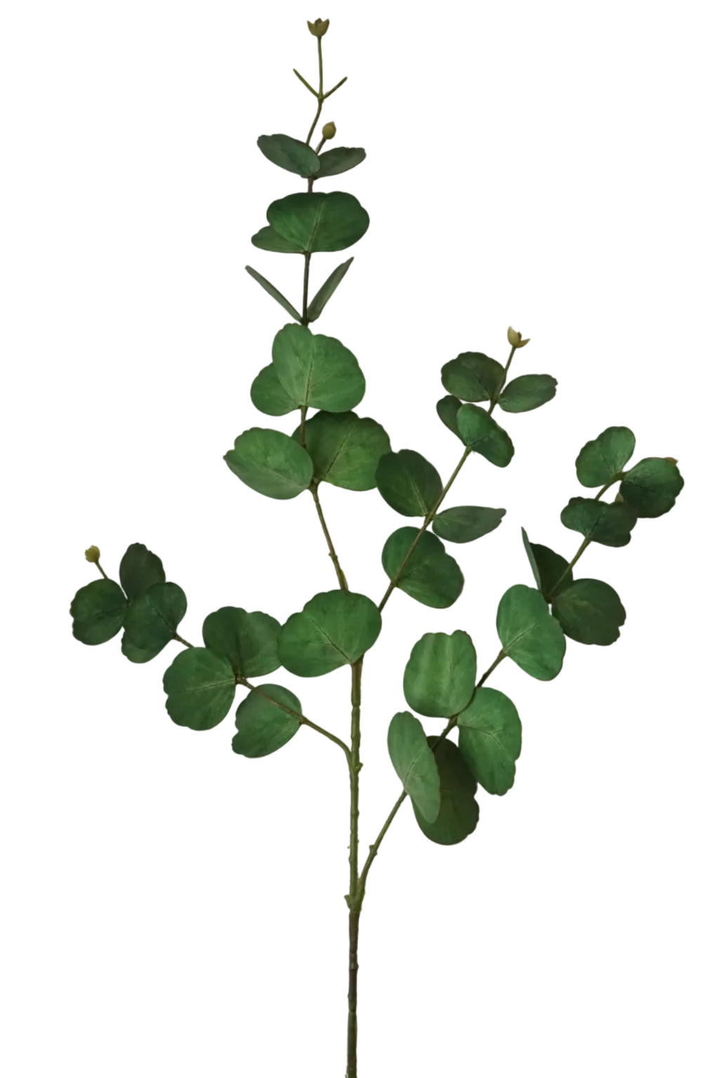 Faux Real Touch Eucalyptus Stem