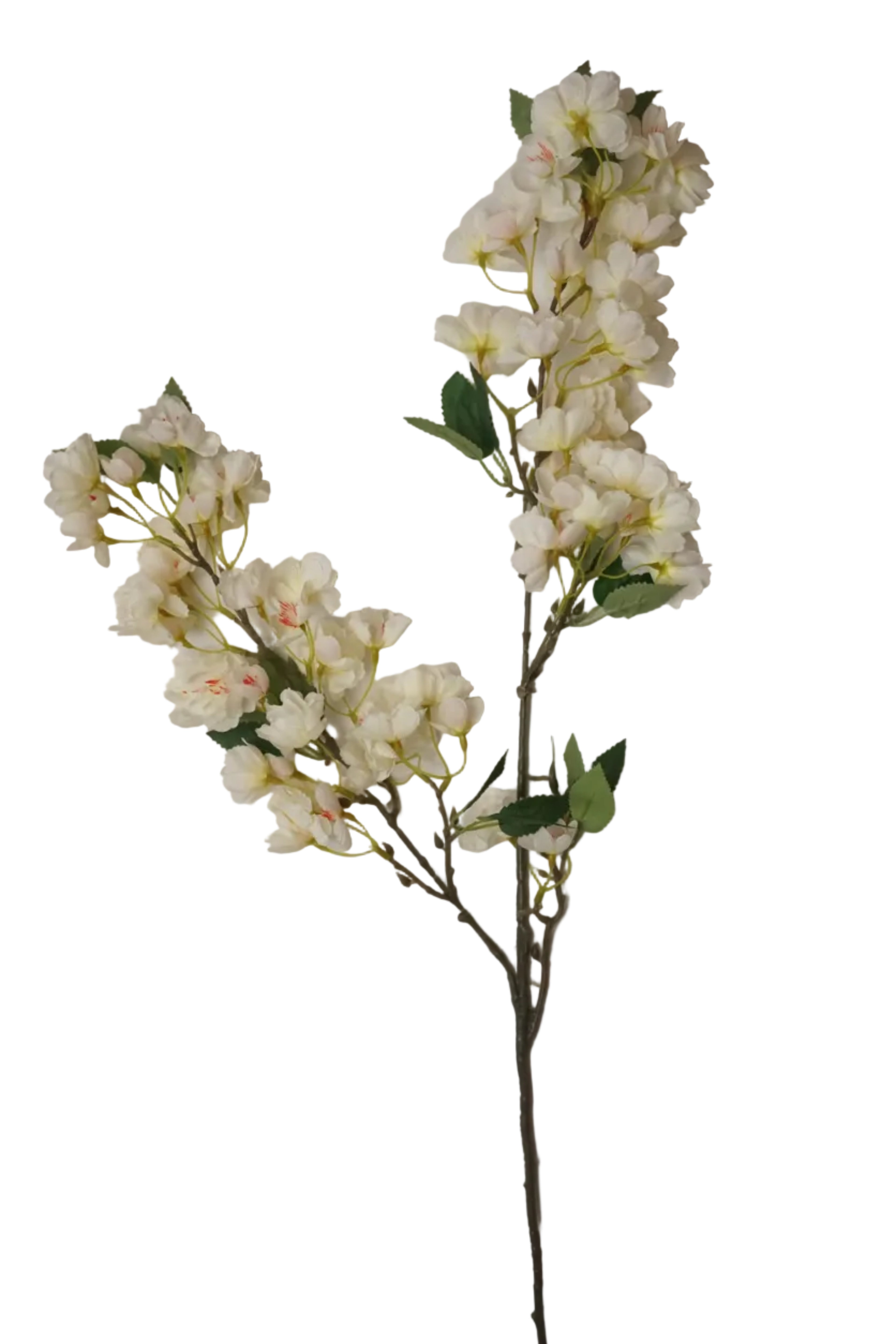 Faux Cherry Blossom Cream