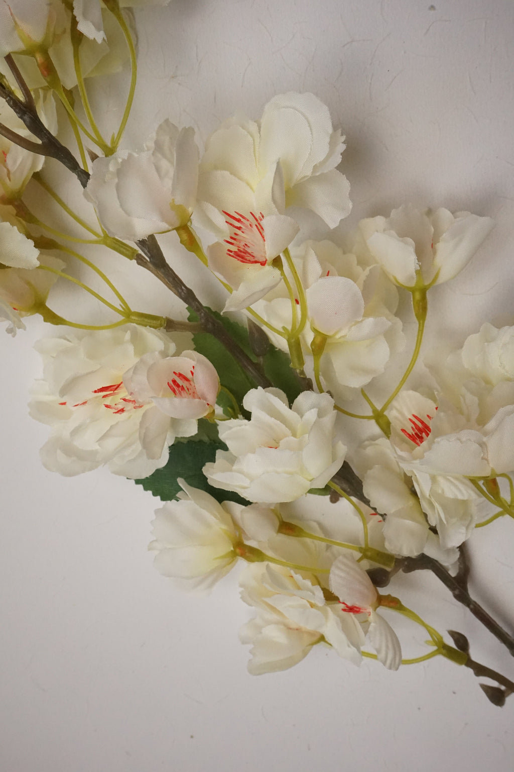 Faux Cherry Blossom Cream