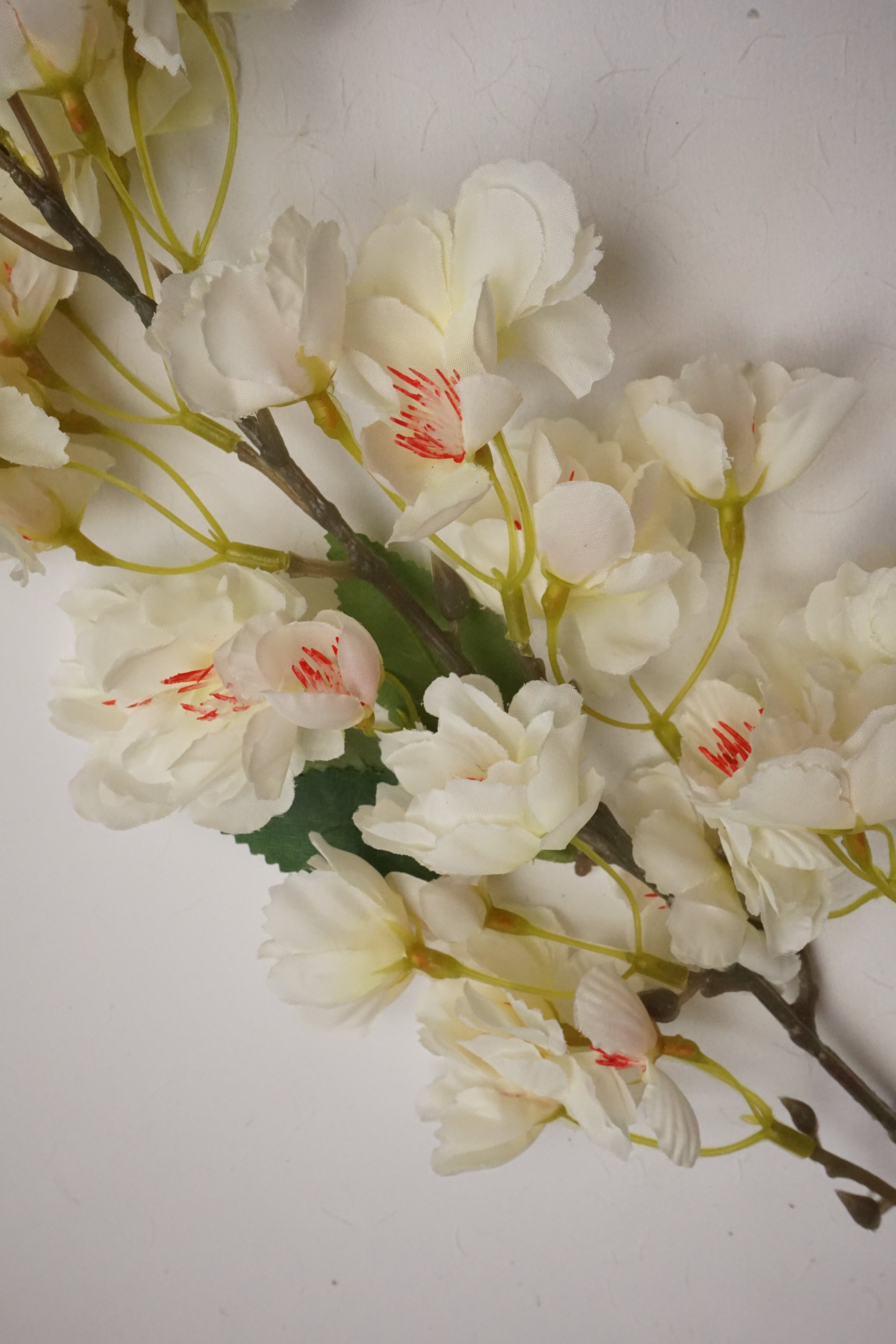 Faux Cherry Blossom Cream
