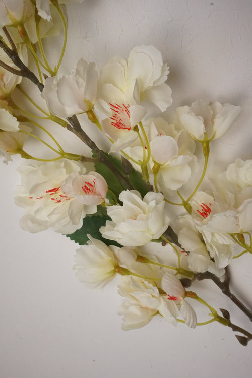 Faux Cherry Blossom Cream