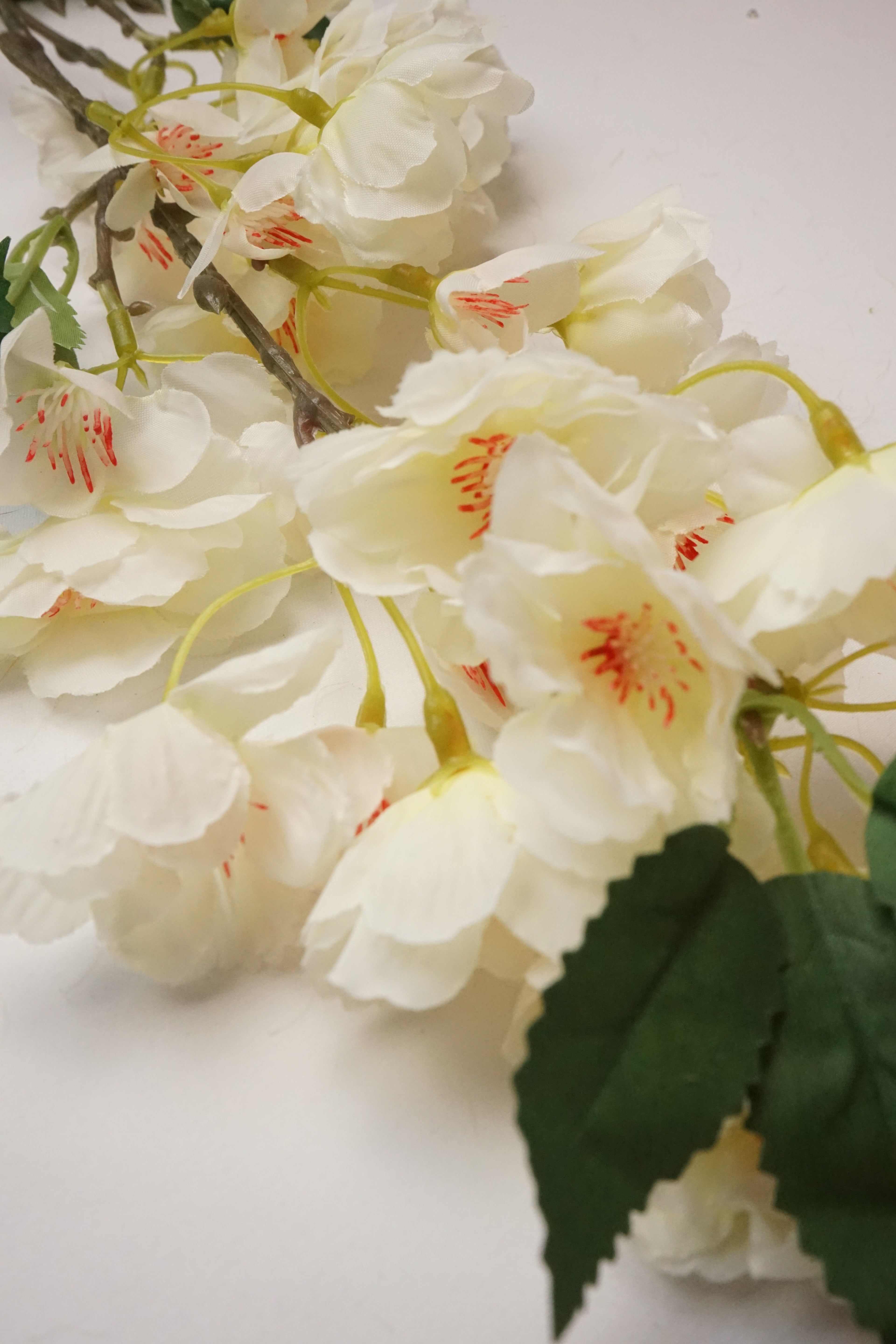 Faux Cherry Blossom Cream