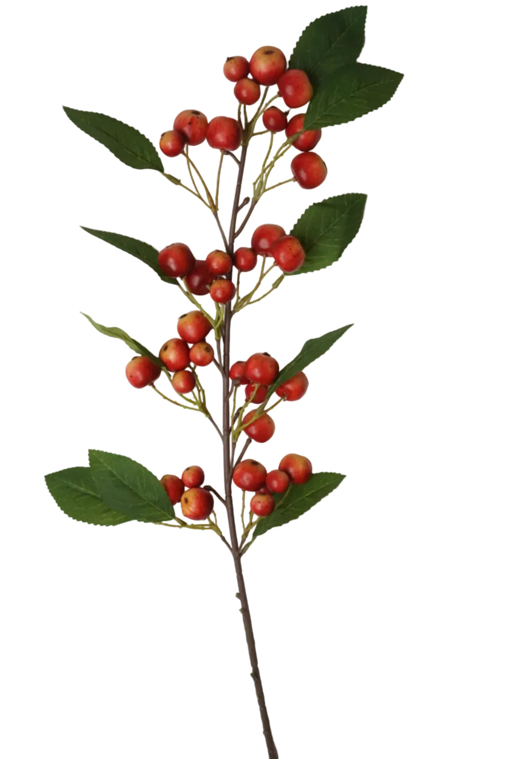 Faux Crab Apple Stem