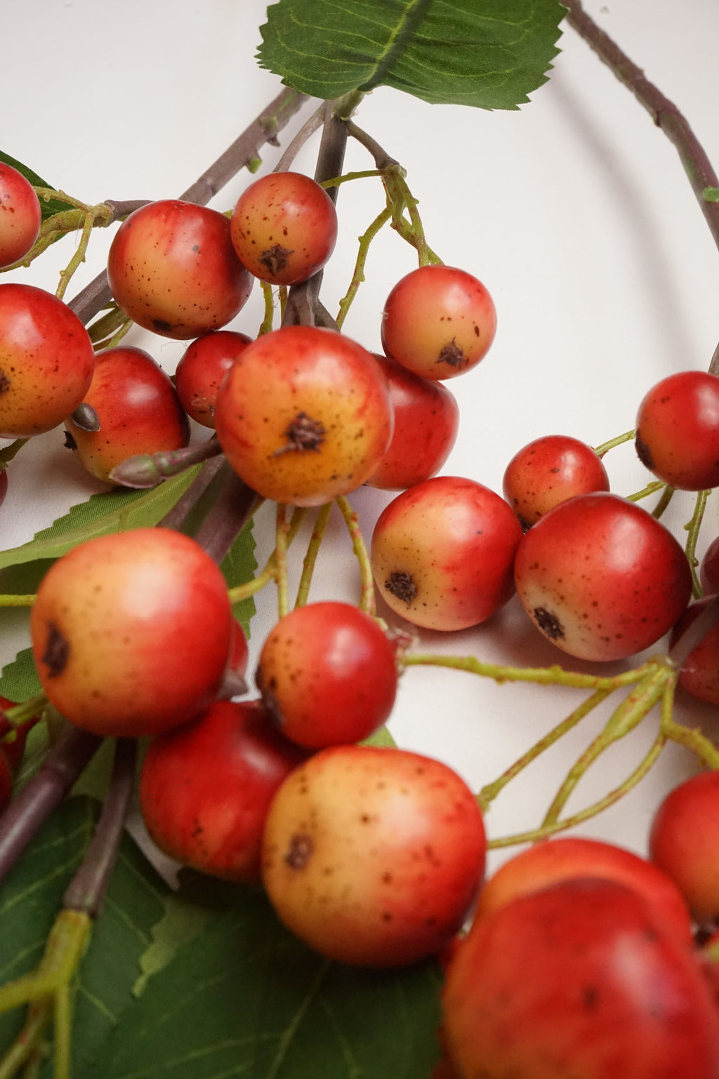 Faux Crab Apple Stem