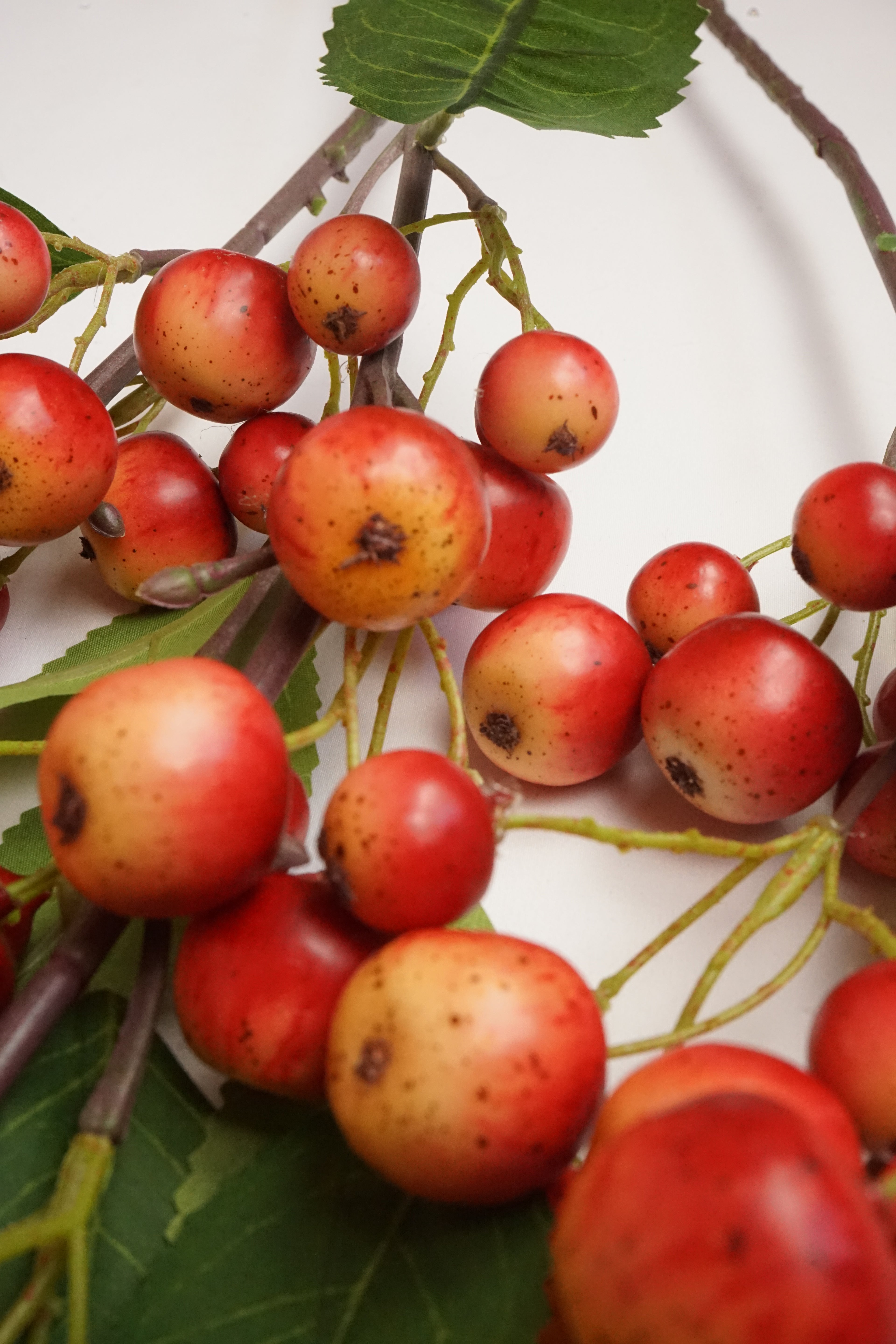Faux Crab Apple Stem