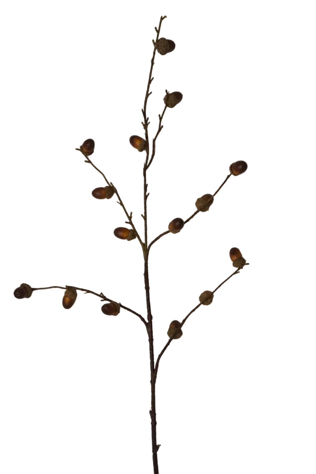 Faux Oak Acorn Branch