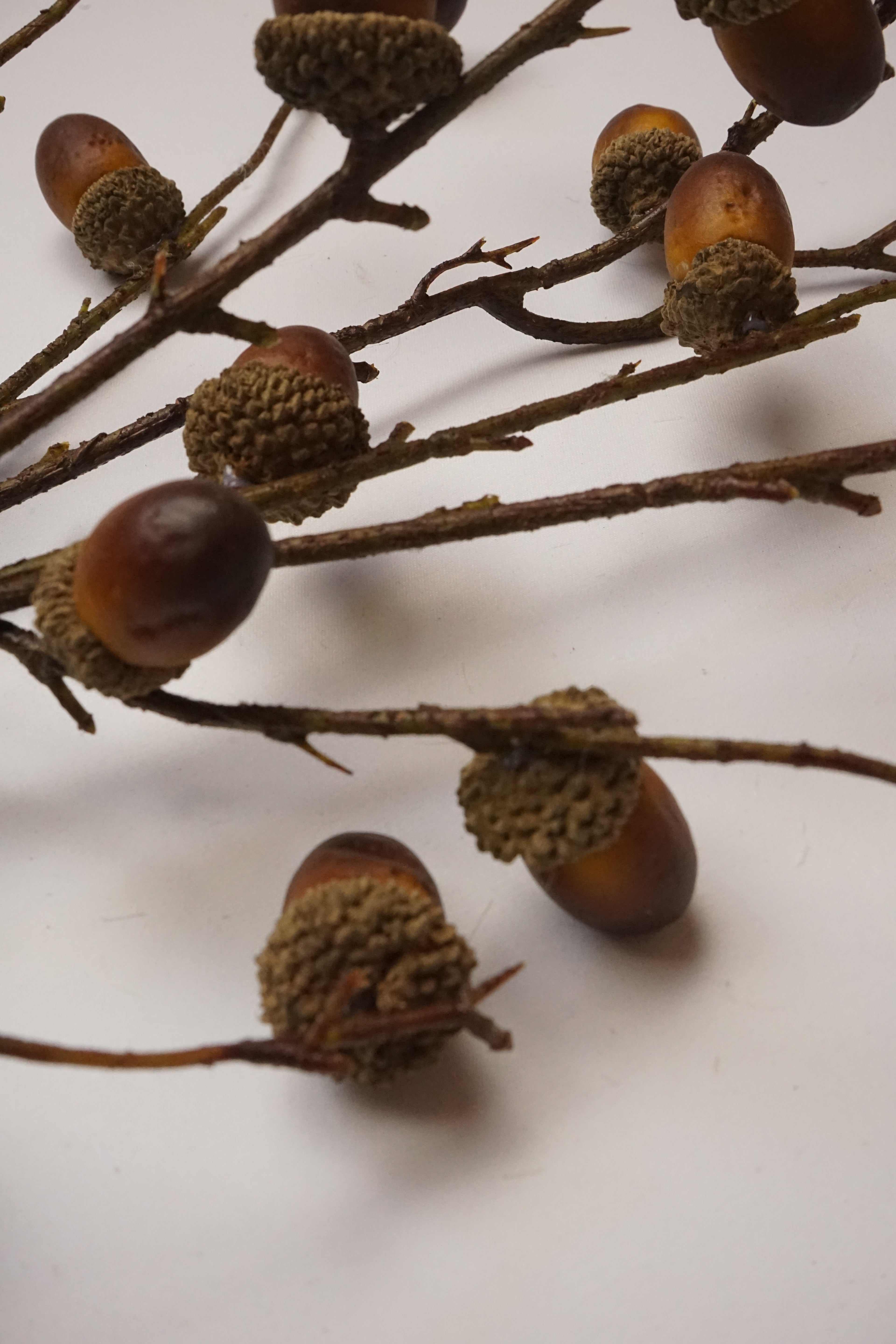 Faux Oak Acorn Branch