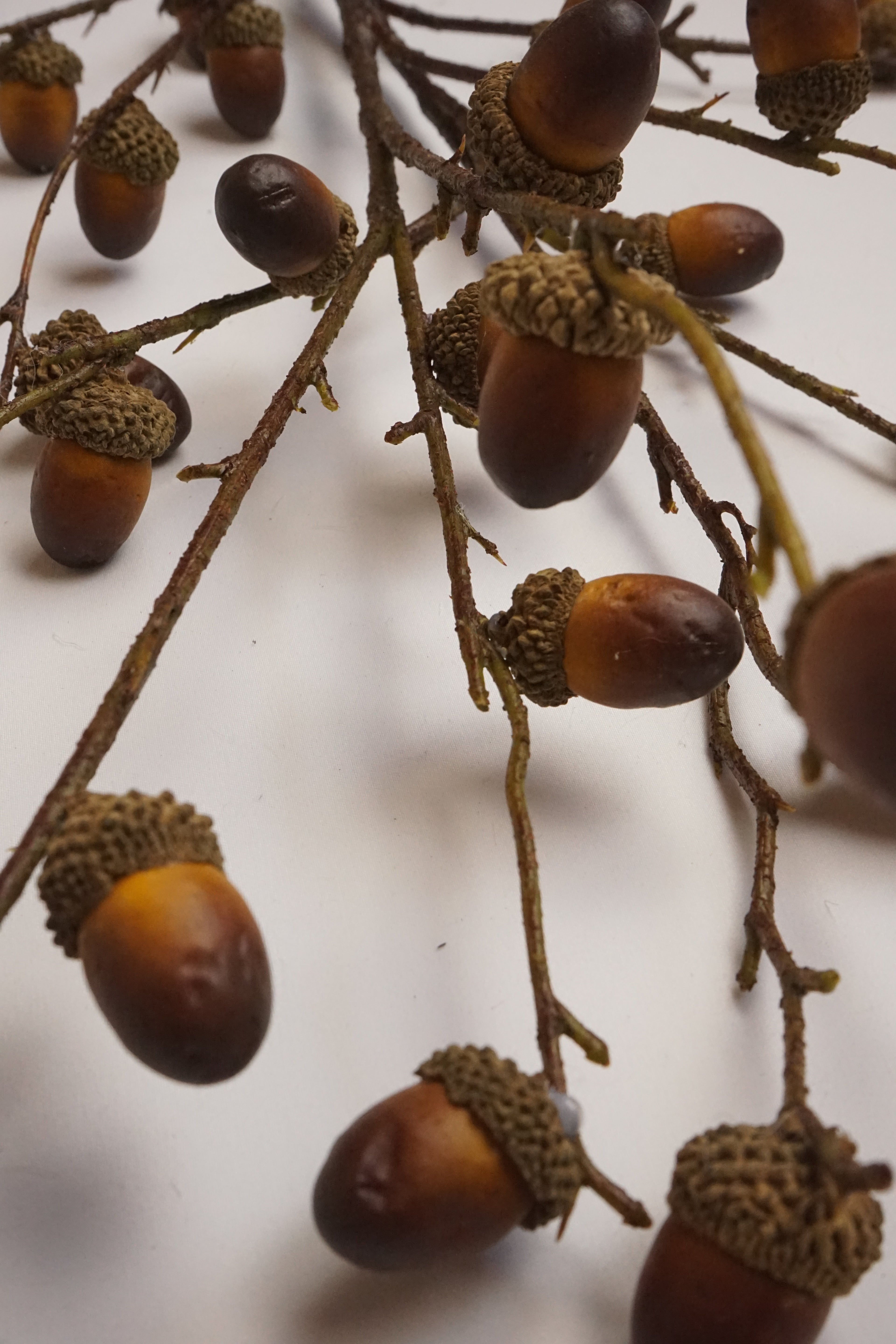 Faux Oak Acorn Branch