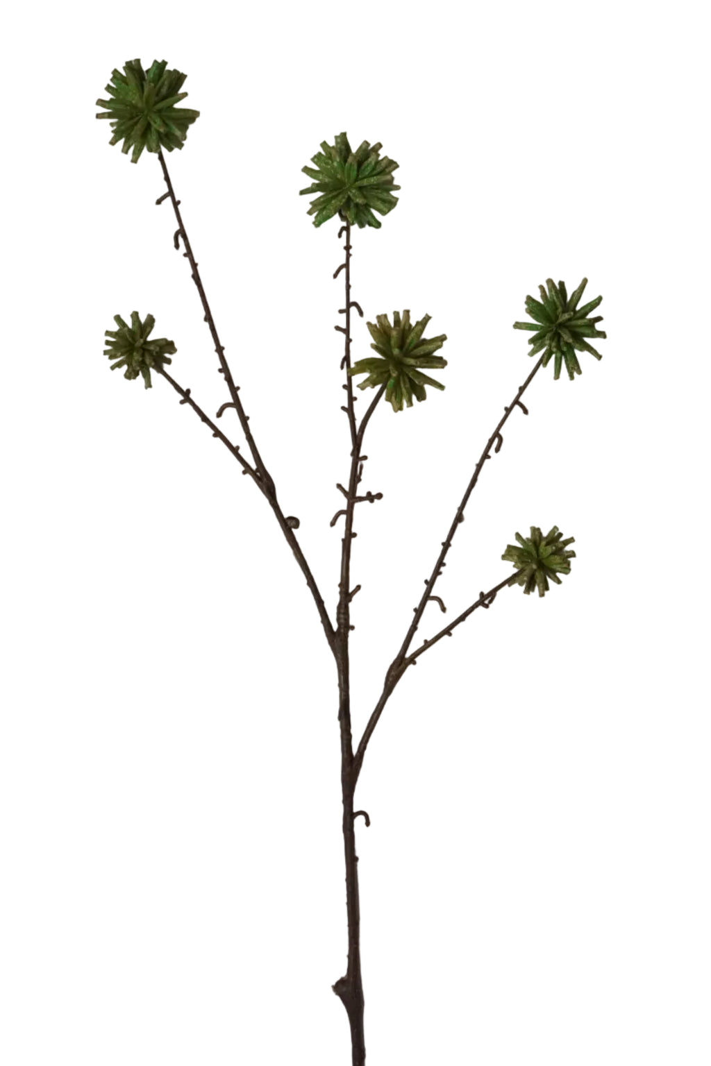 Faux Camptotheca Pods