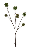 Faux Camptotheca Pods