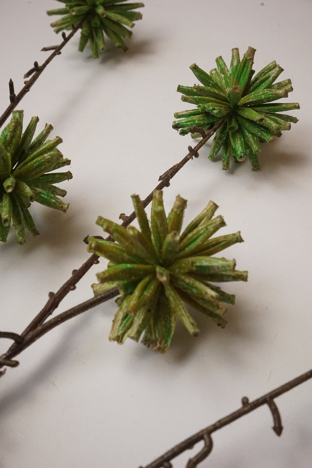 Faux Camptotheca Pods