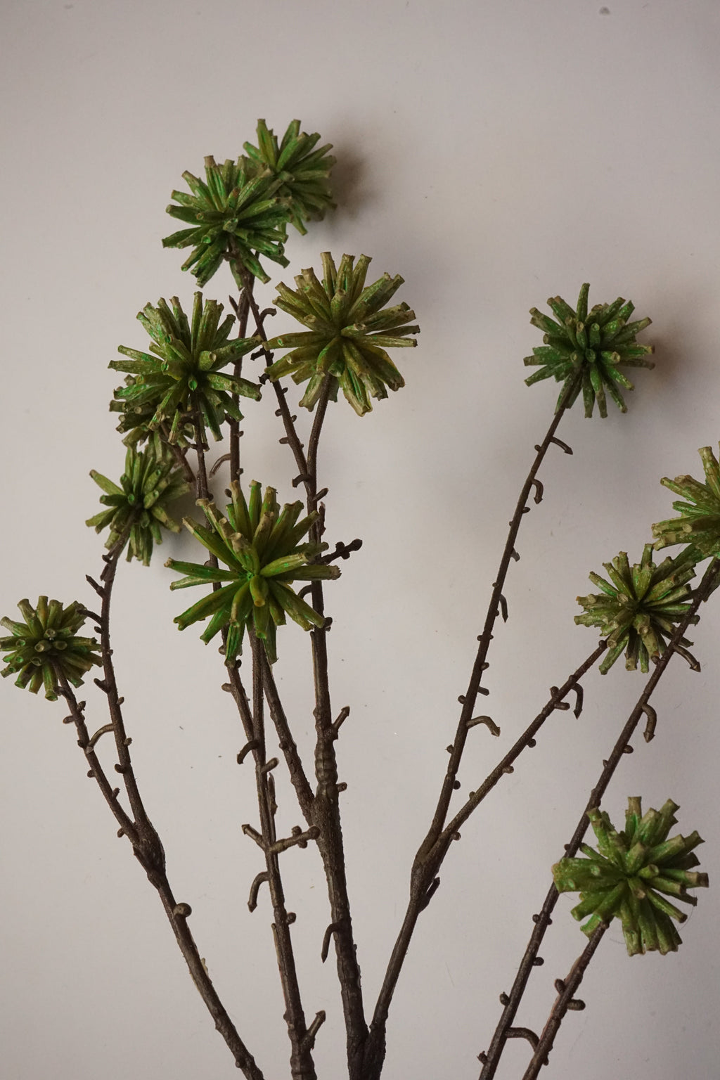 Faux Camptotheca Pods