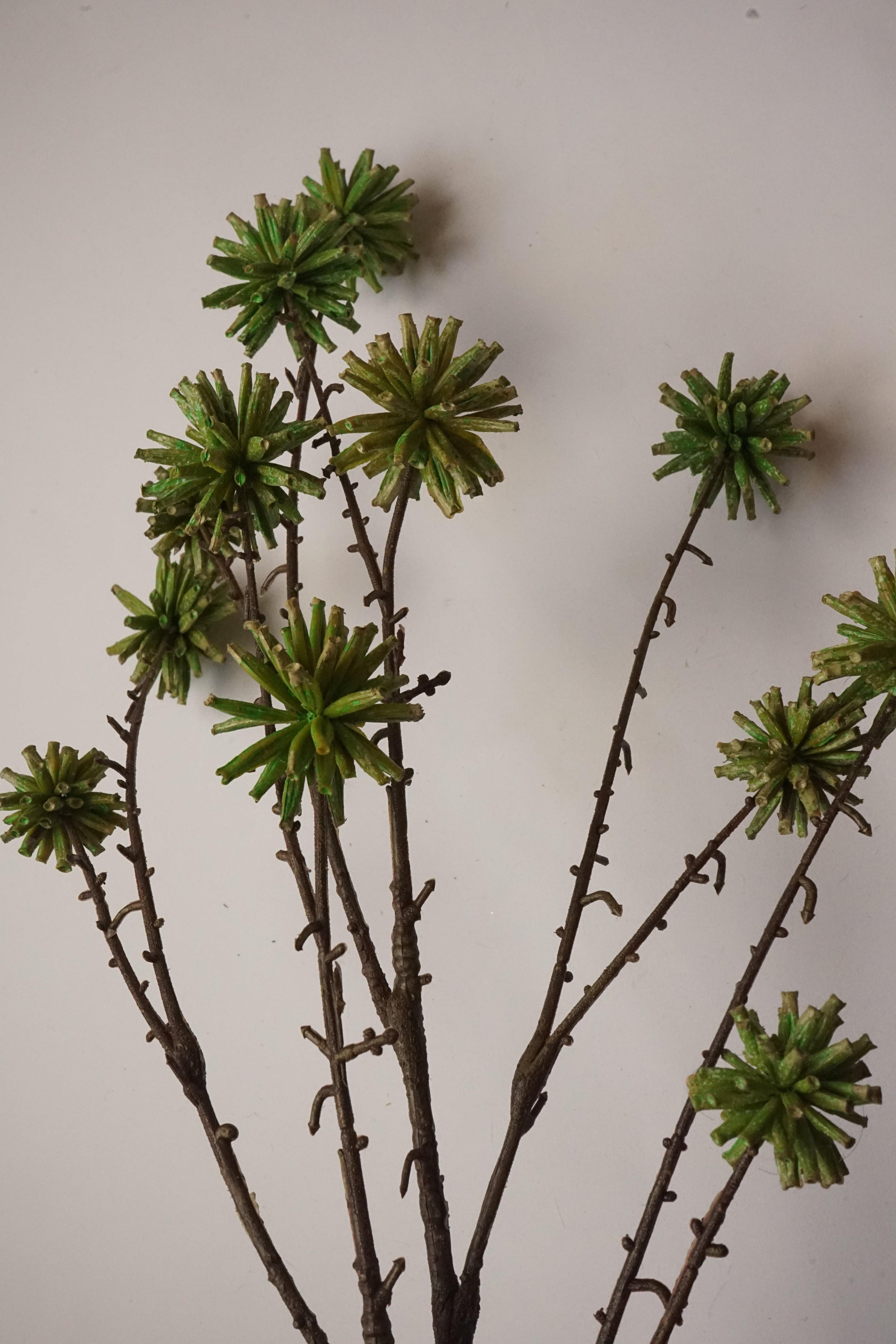 Faux Camptotheca Pods