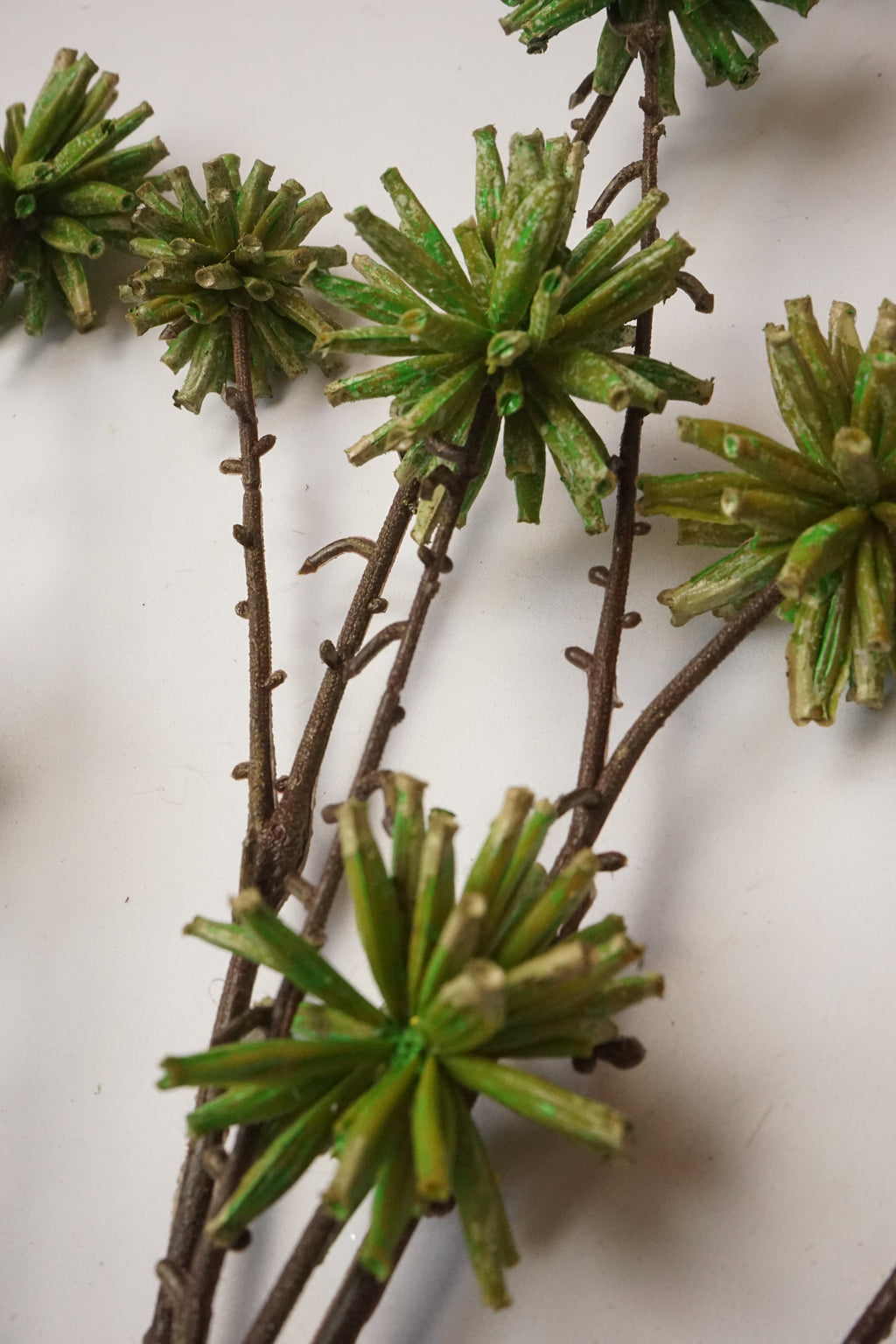 Faux Camptotheca Pods