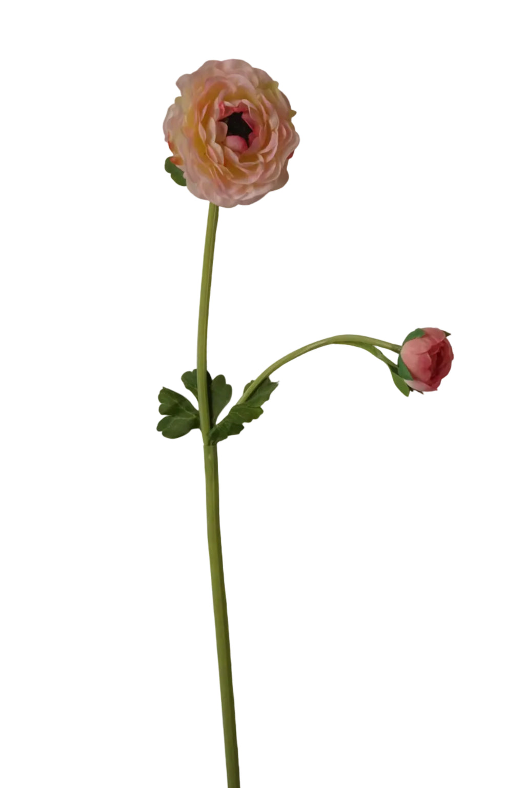 Faux Pink Ranunculus