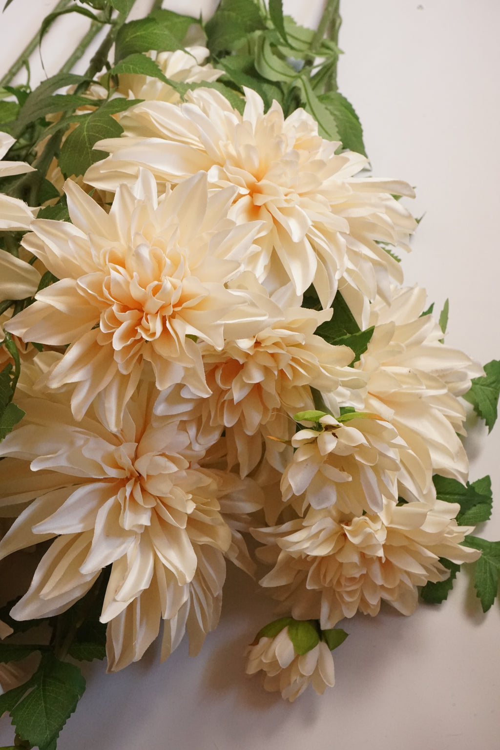 Faux Café Au Lait Dahlia