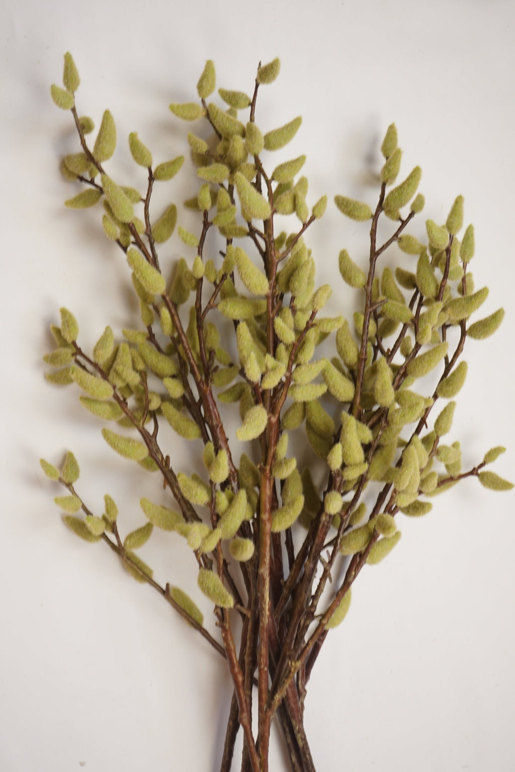 Faux Magnolia Bud Branch