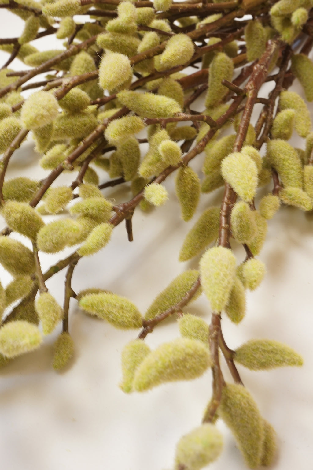 Faux Magnolia Bud Branch