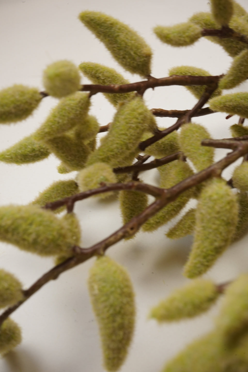 Faux Magnolia Bud Branch