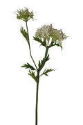 Faux Agapanthus White
