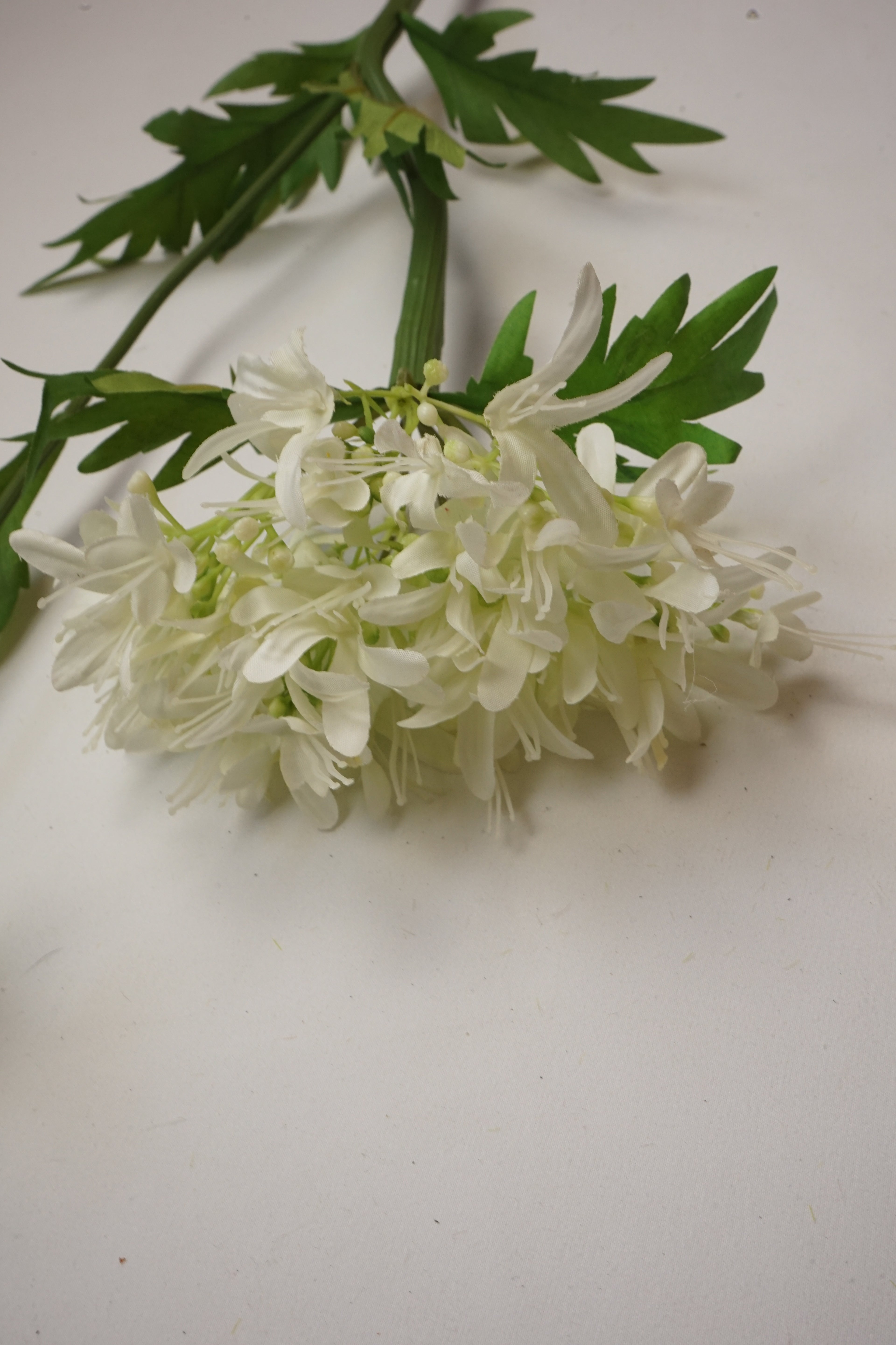 Faux Agapanthus White