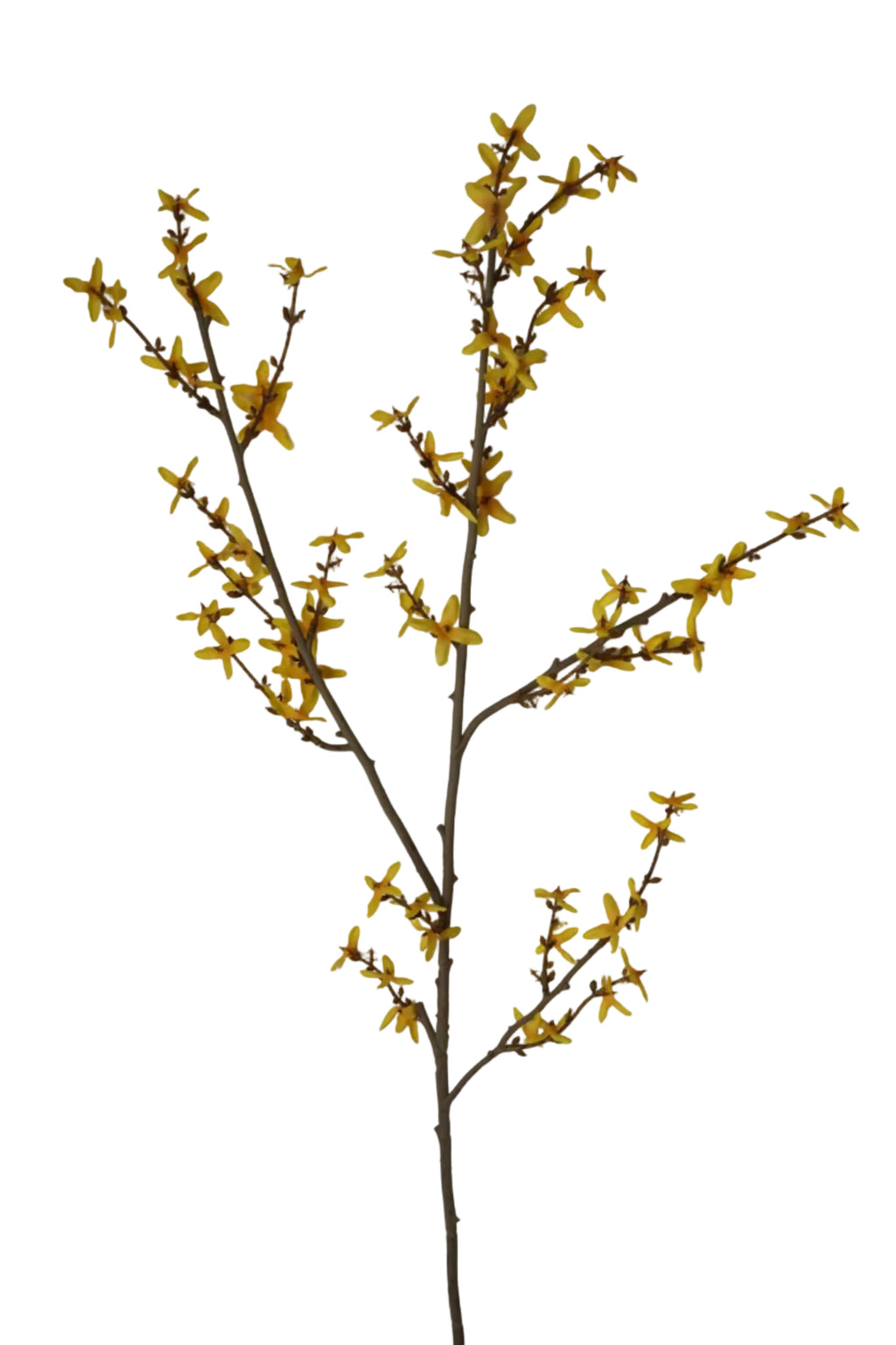 Faux Forsythia Branch