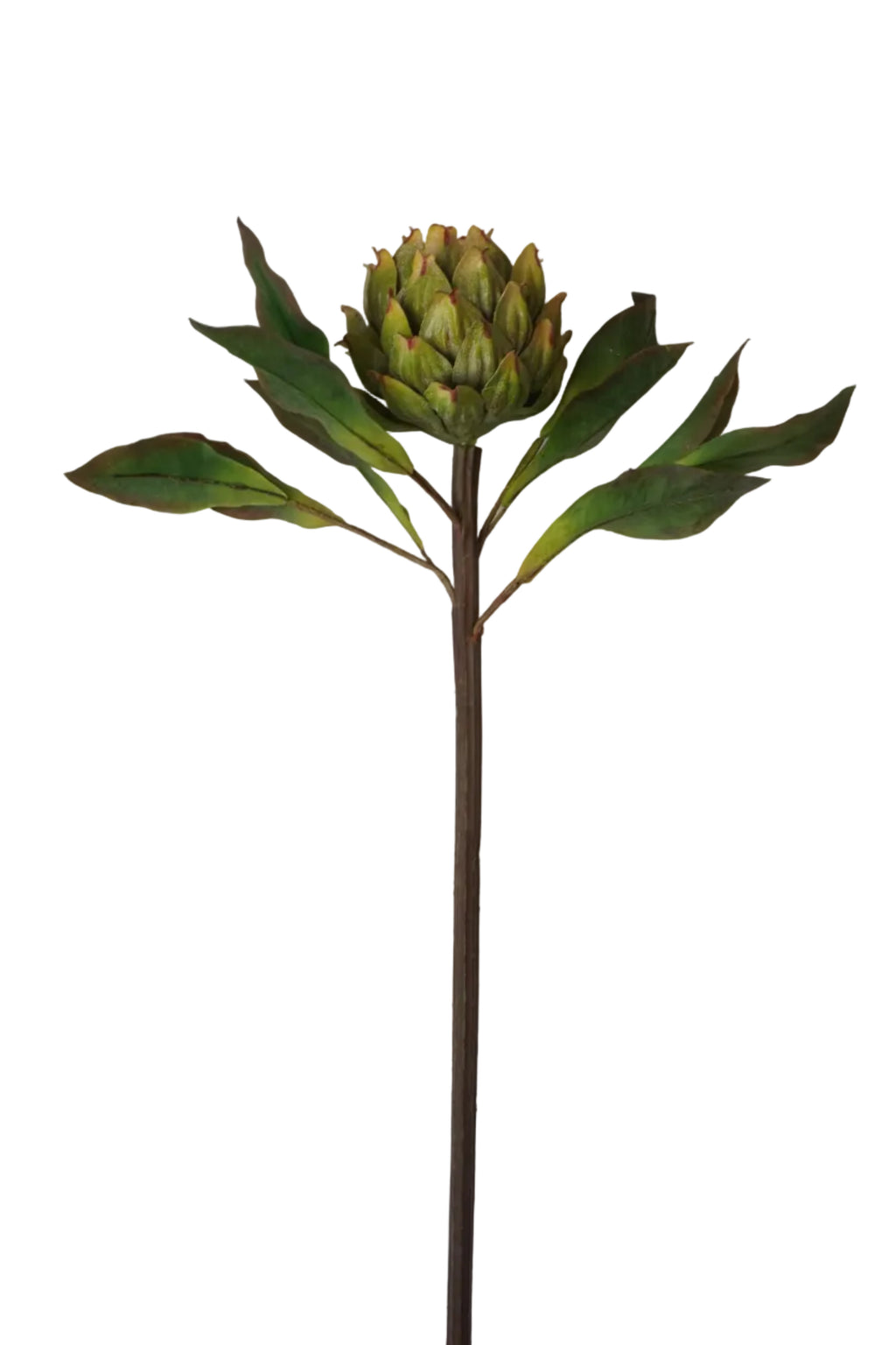 Faux Green Artichoke Stem