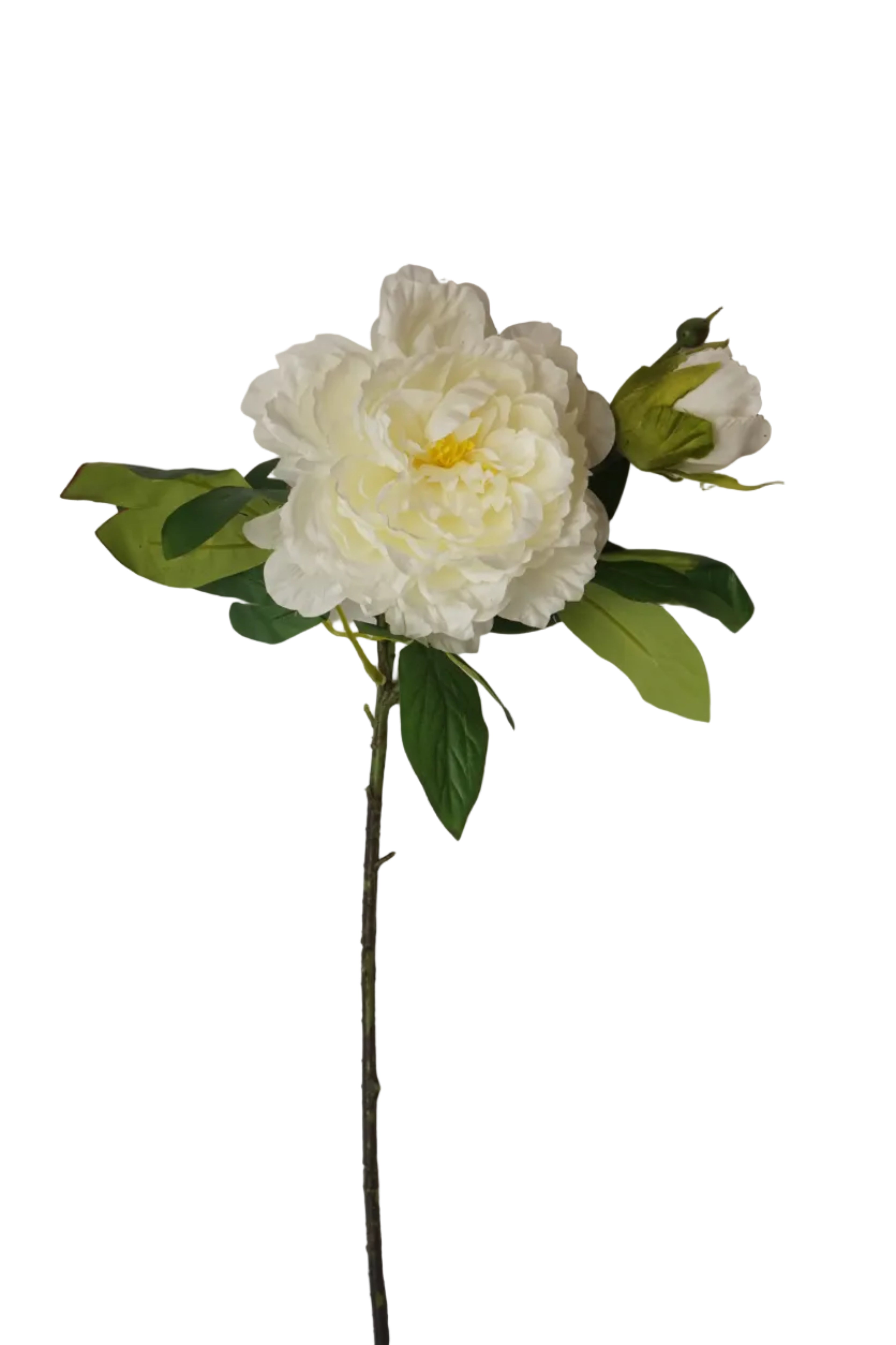 Faux Ivory & Lemon Peony