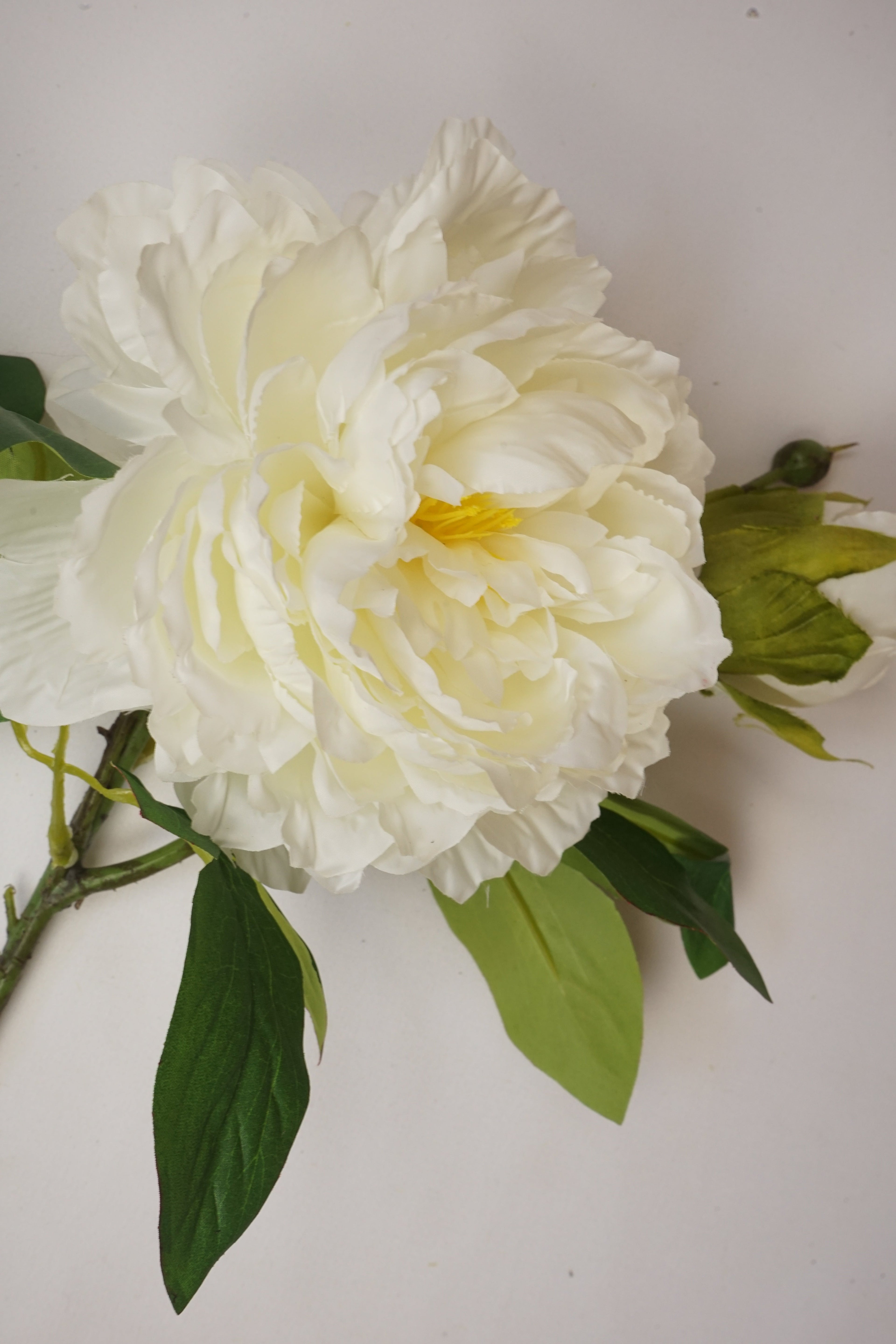 Faux Ivory & Lemon Peony