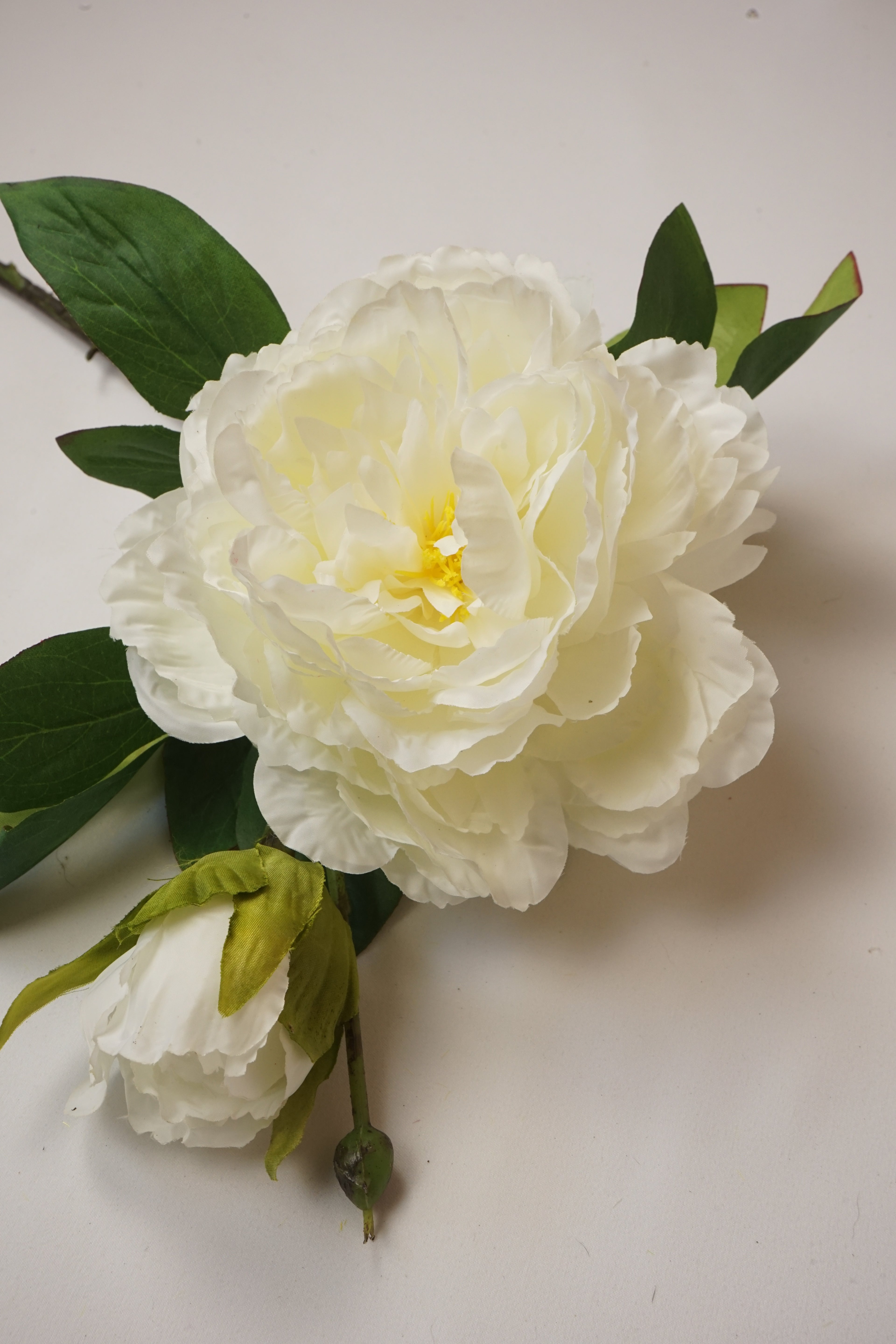 Faux Ivory & Lemon Peony