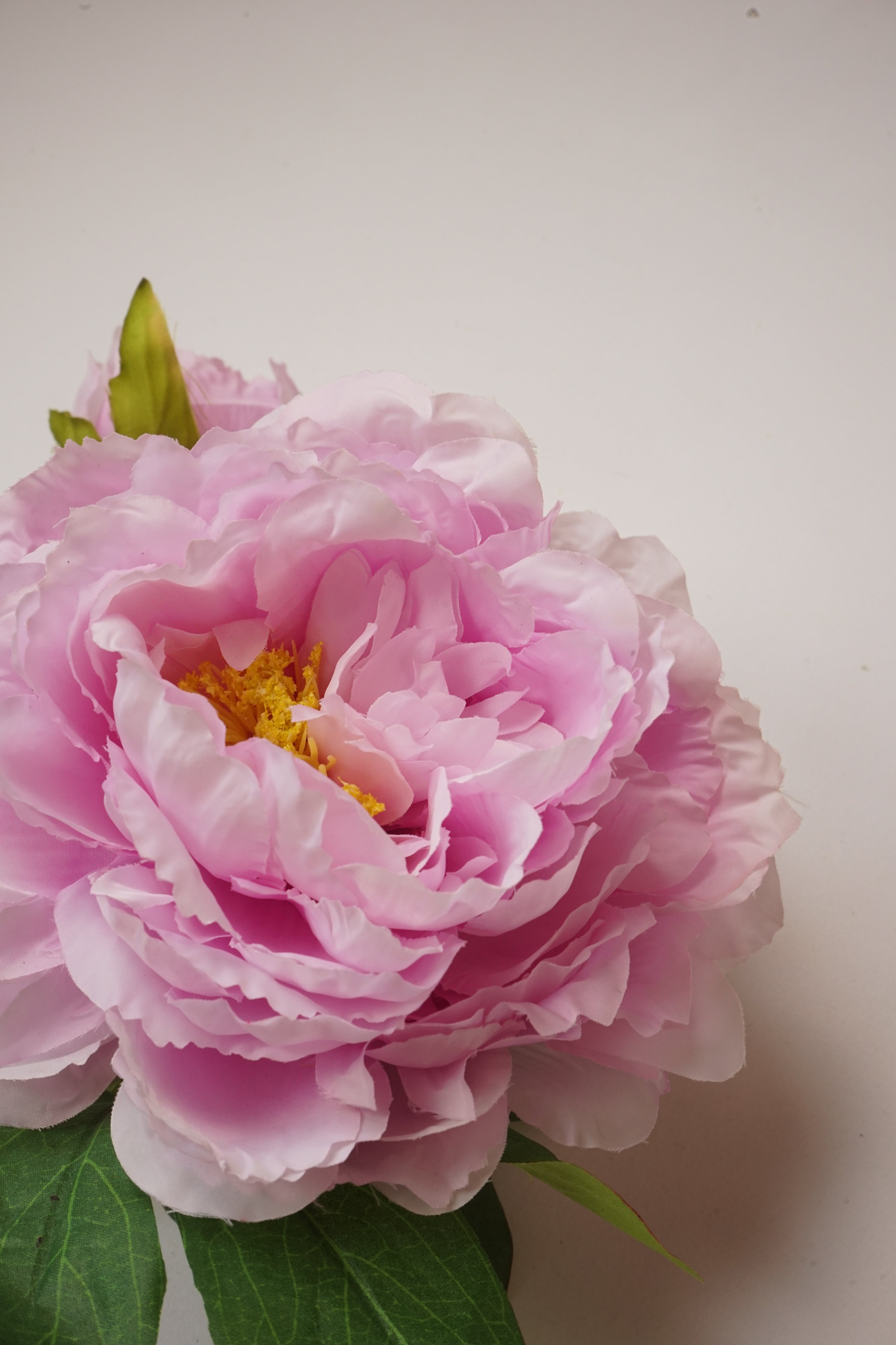 Faux Lilac Pink Peony