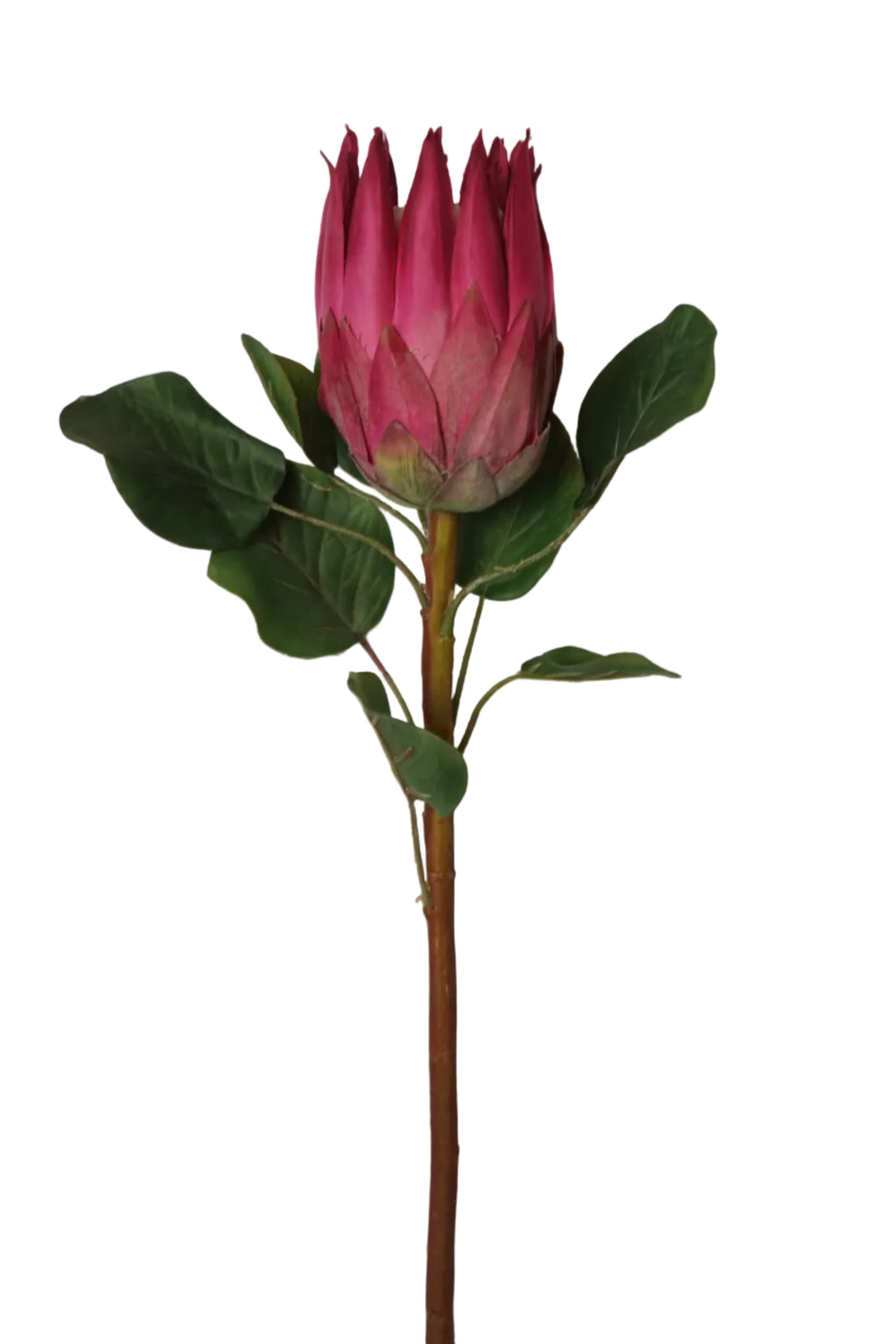 Faux Pink King  Protea Stem